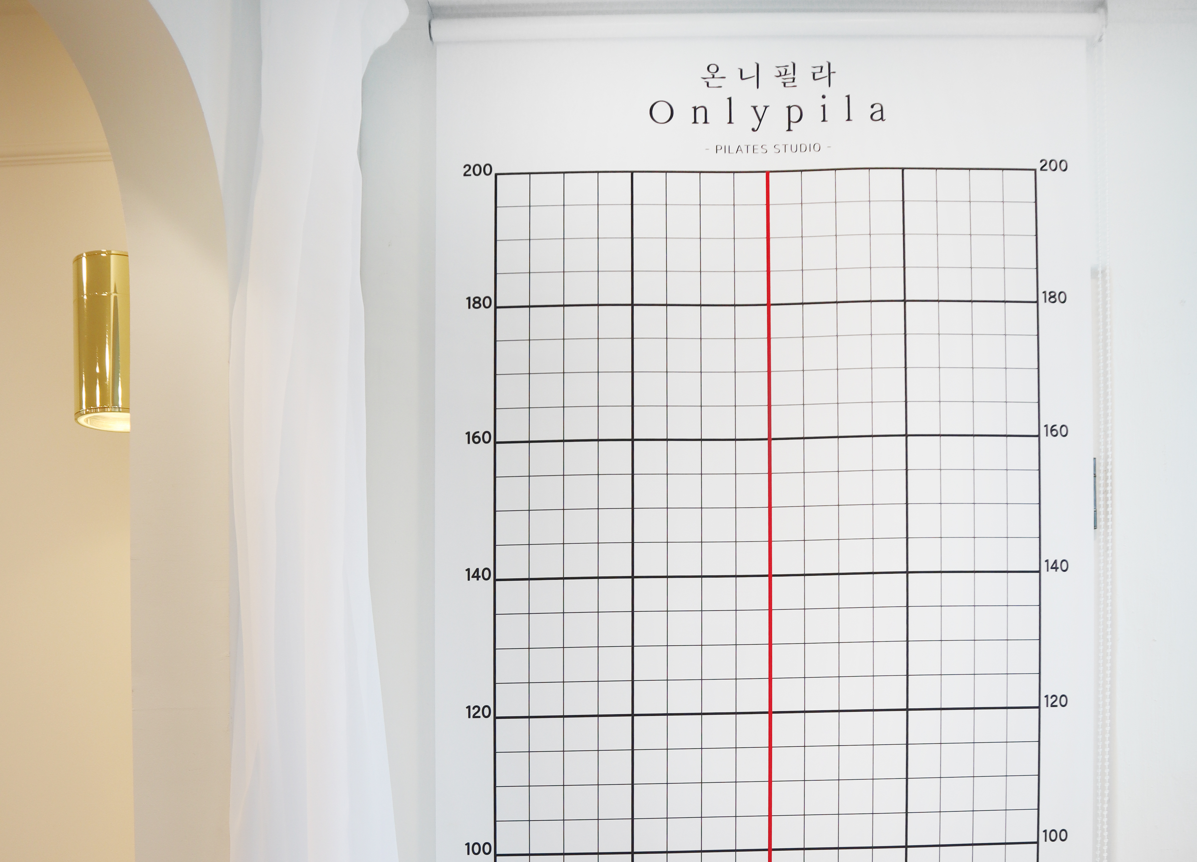 온니필라 대표 이미지