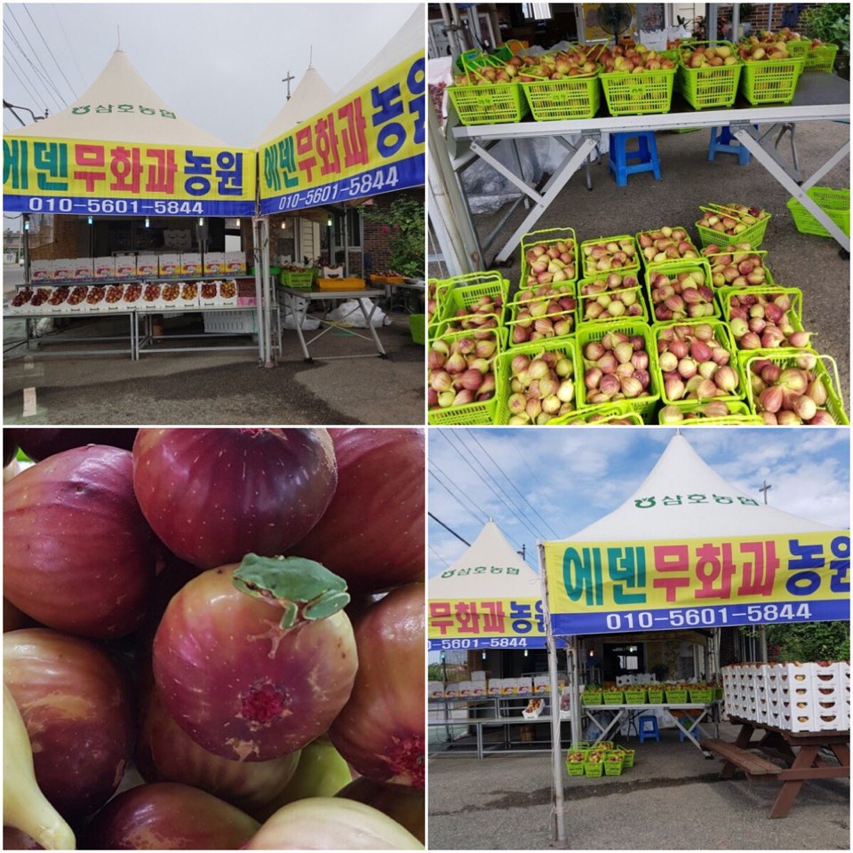 삼호 에덴농원