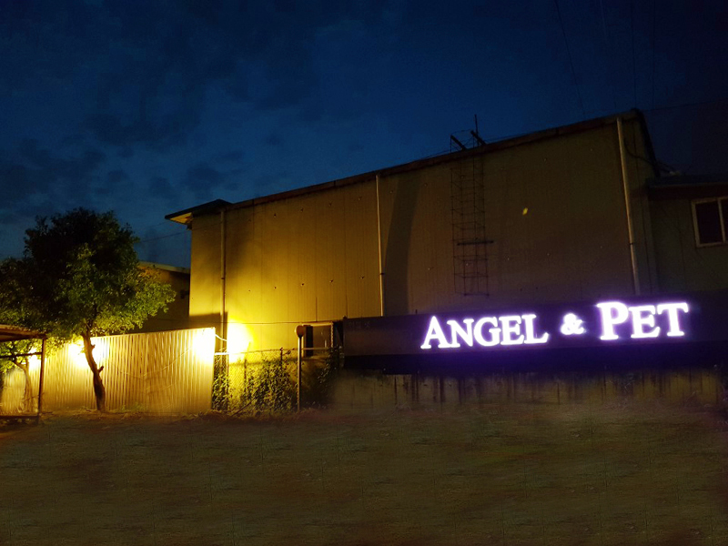 엔젤펫 대표 이미지