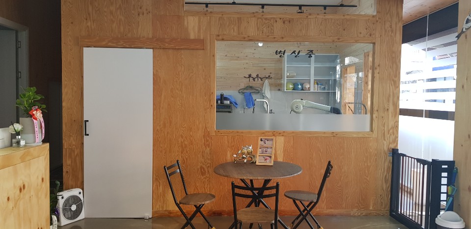 댕블리애견미용 대표 이미지