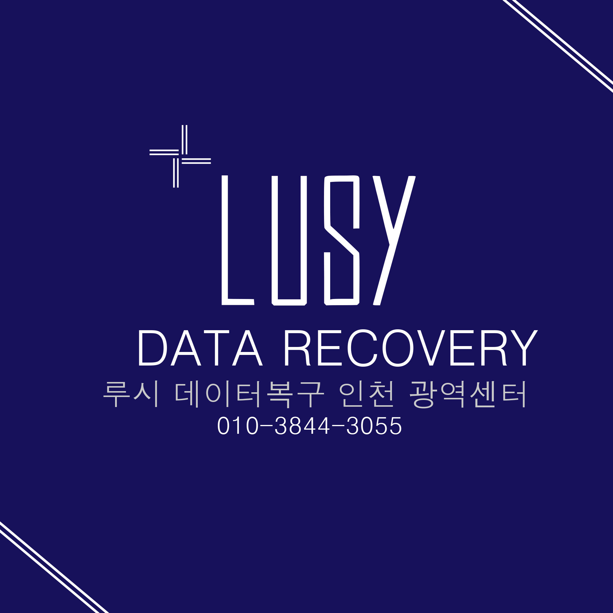 인천 외장하드복구 데이터복구 컴퓨터수리센터 LUSY