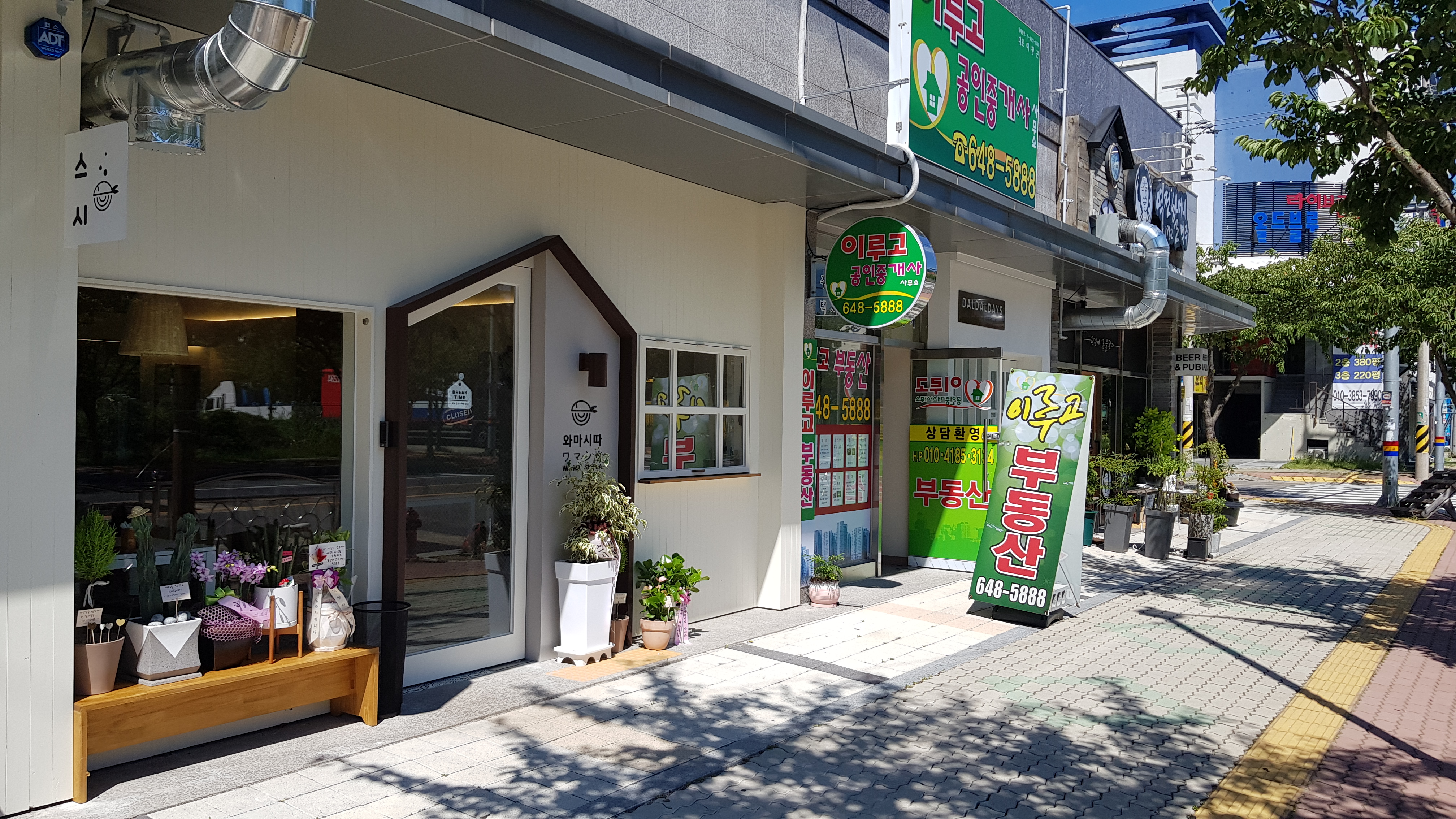 와마시따