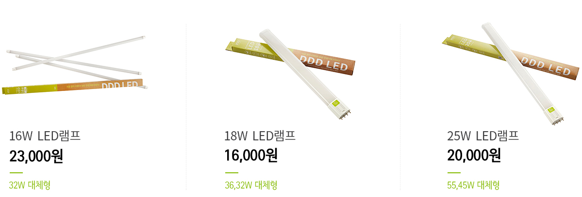 디디디