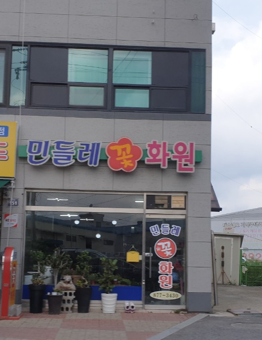 대소민들레꽃화원