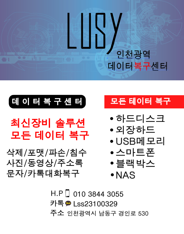 인천 외장하드복구 데이터복구 컴퓨터수리센터 LUSY