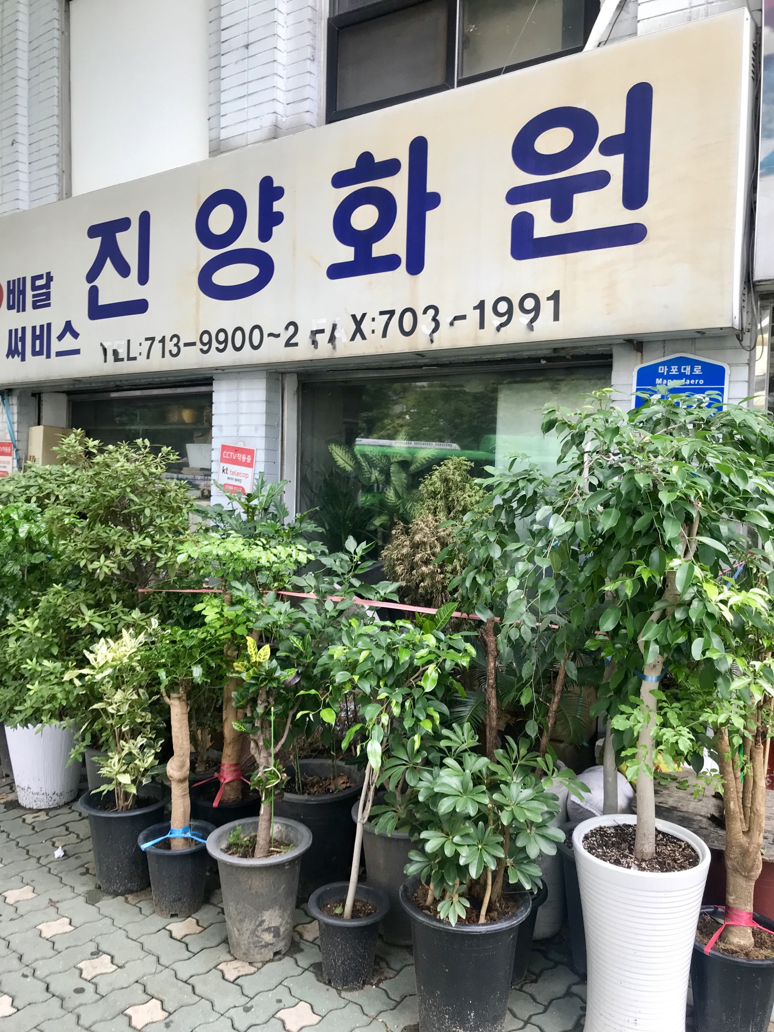 진양화원