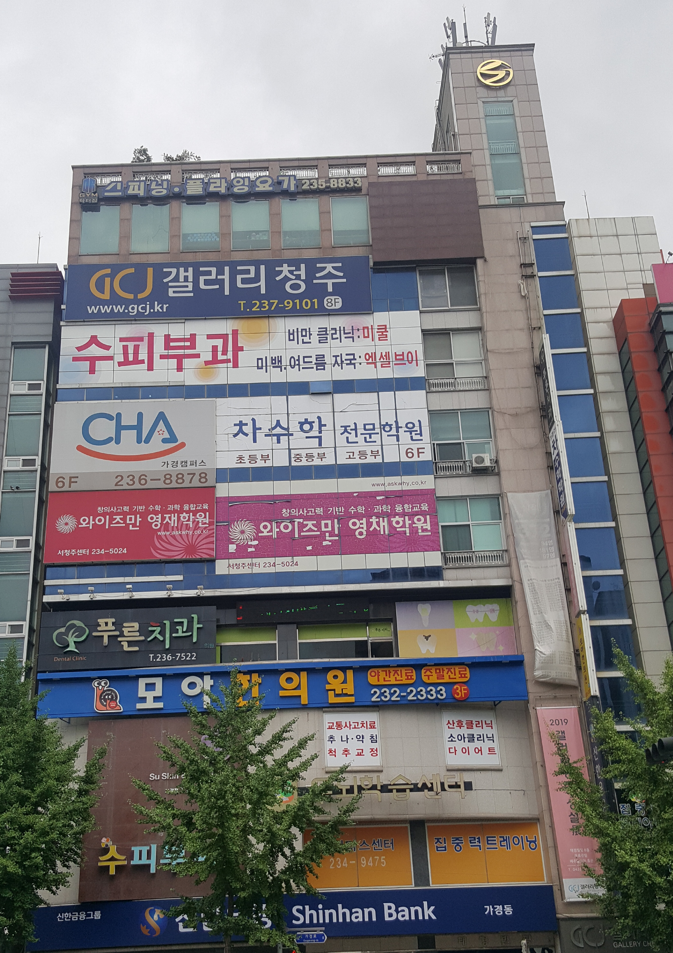 푸른치과의원 대표 이미지