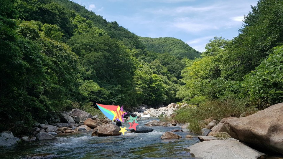 스타민박