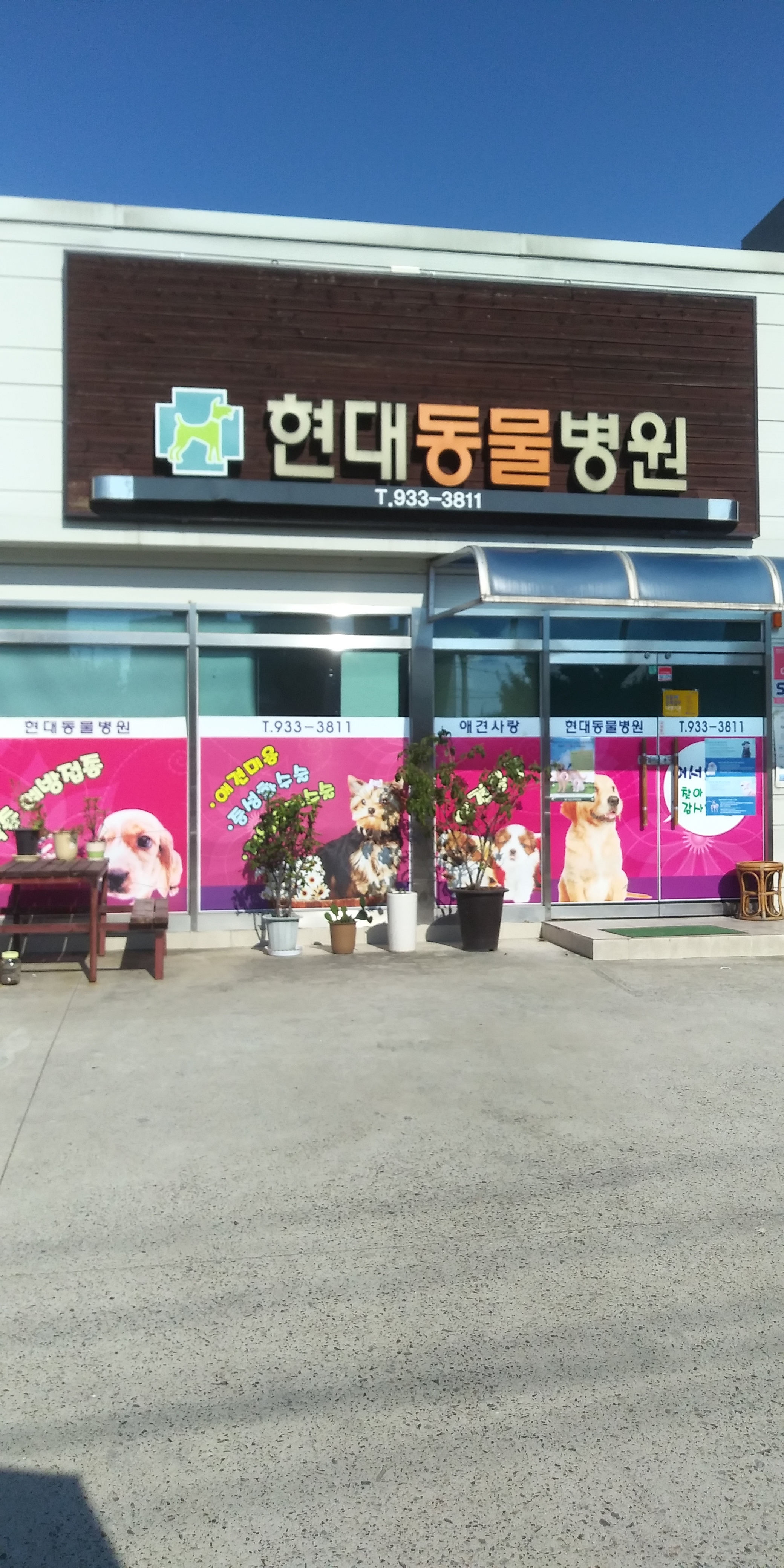 현대동물병원