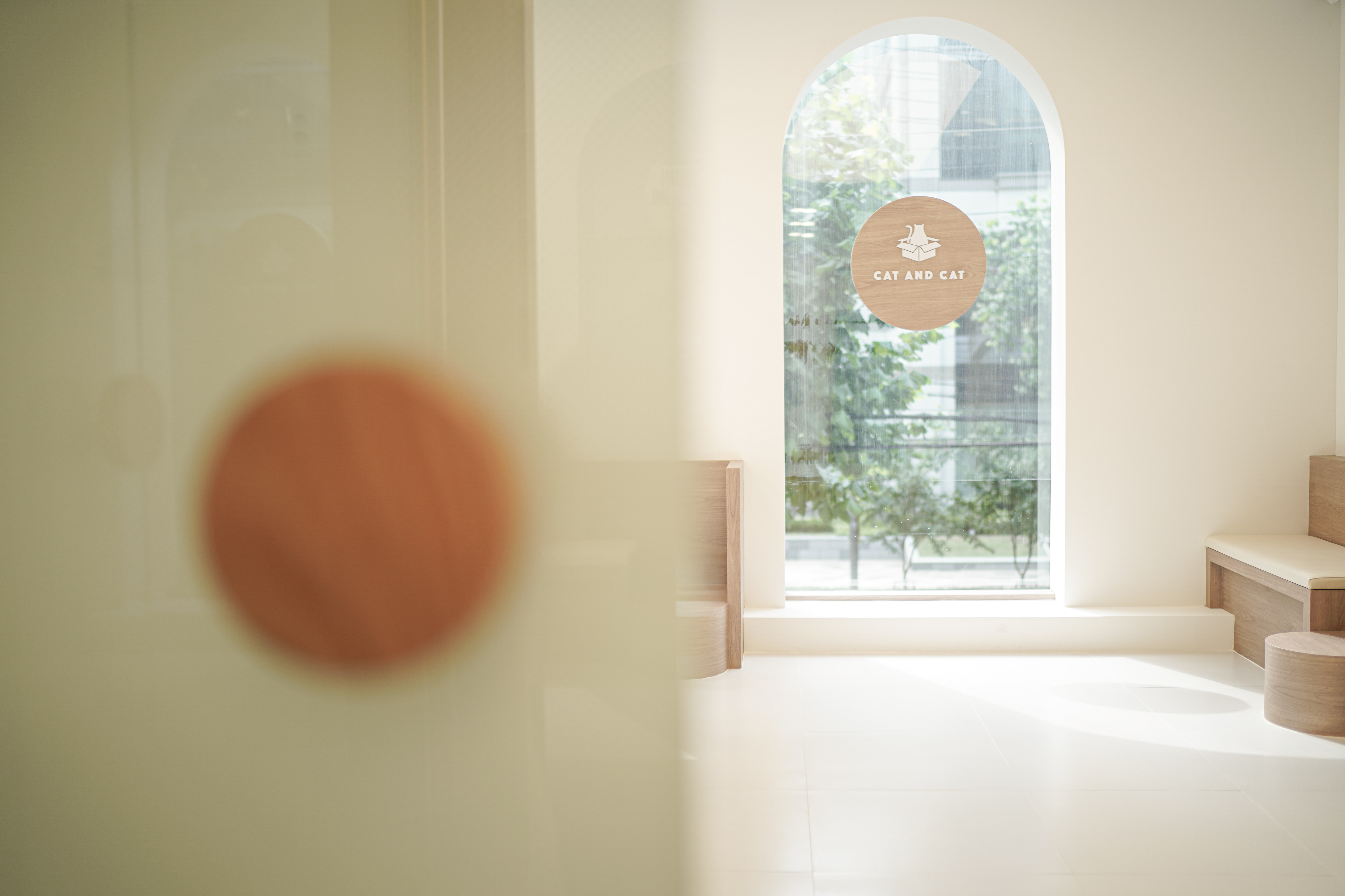 캣앤캣 고양이병원 대표 이미지