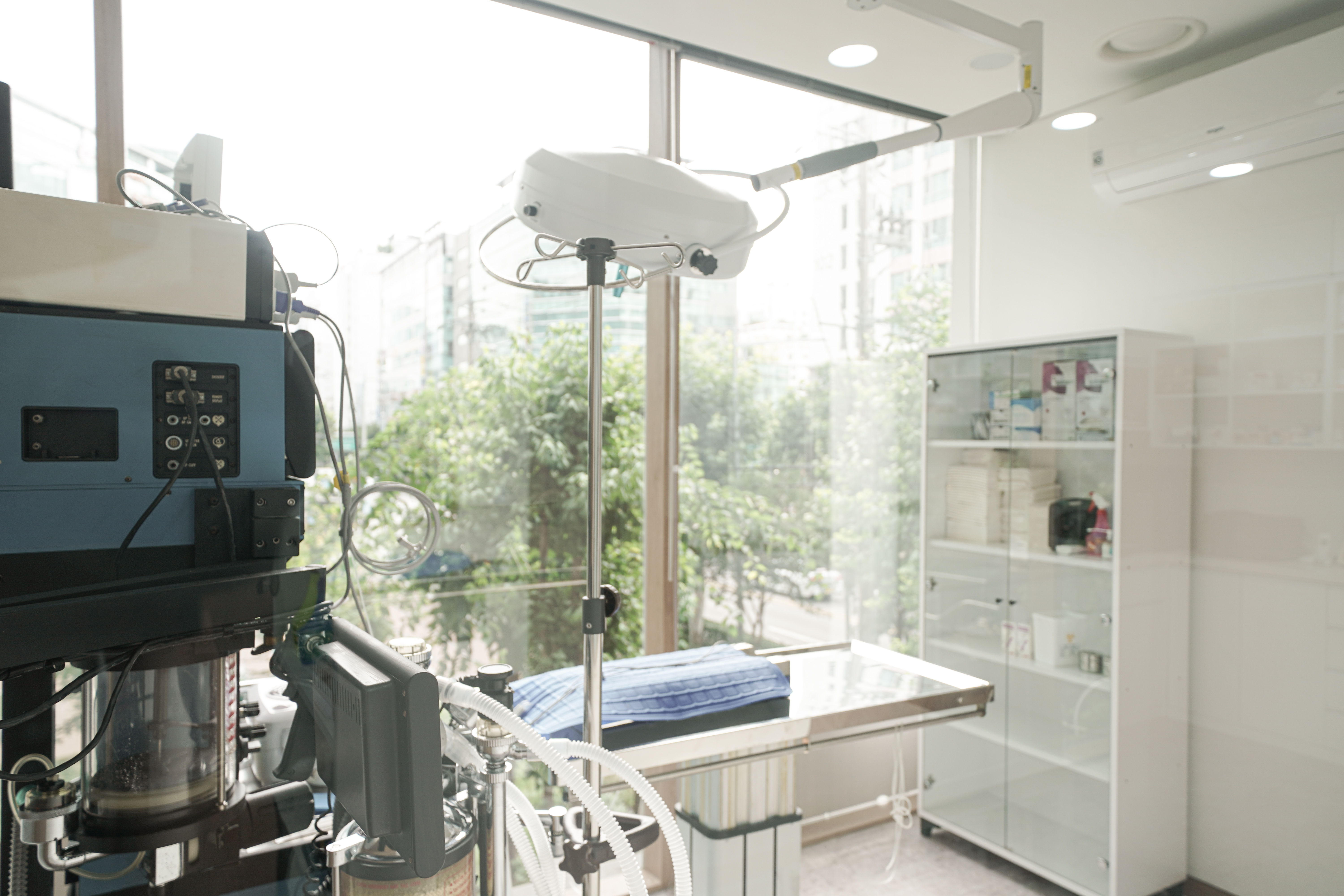 캣앤캣 고양이병원 대표 이미지