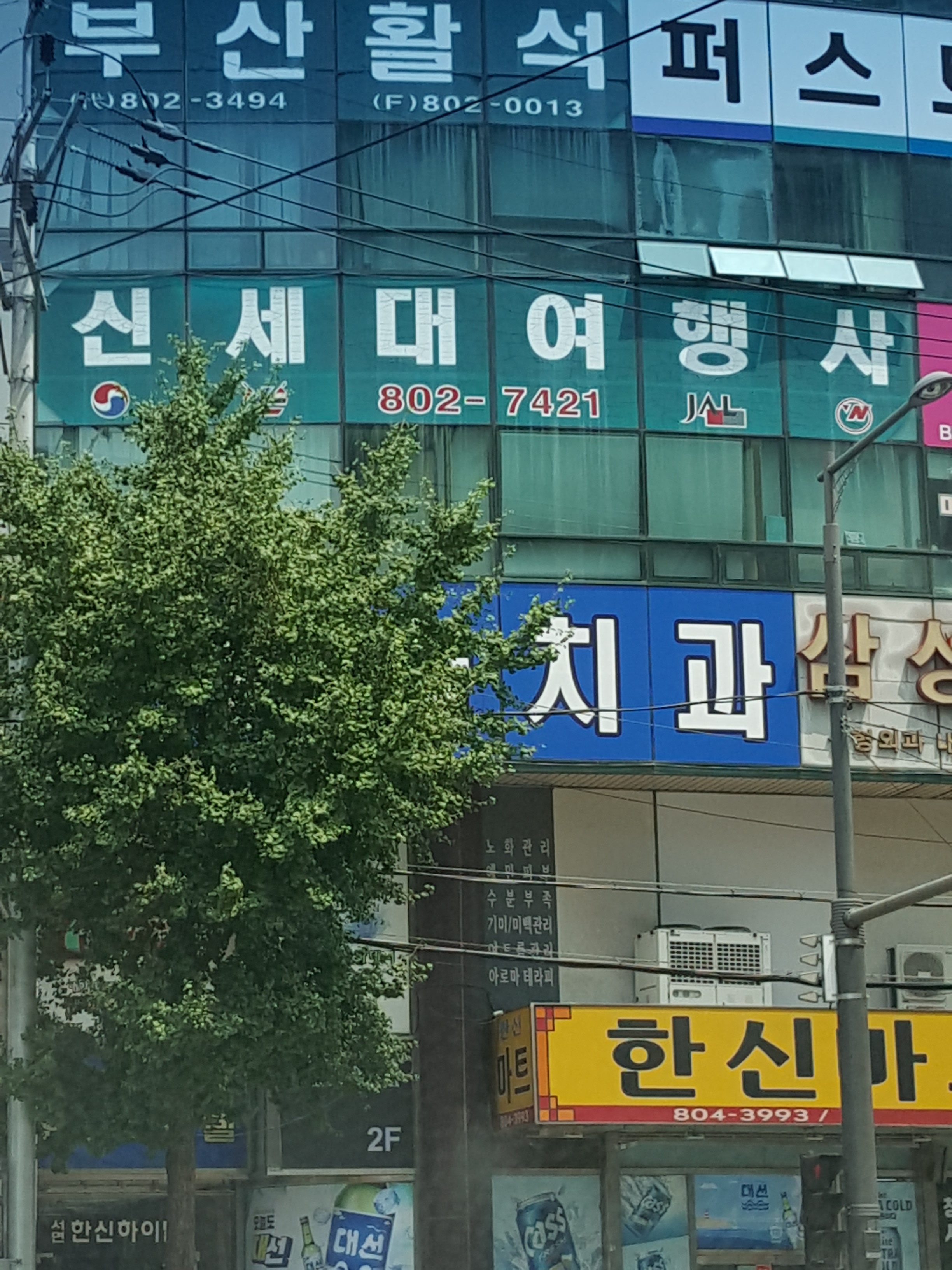 신세대관광여행사