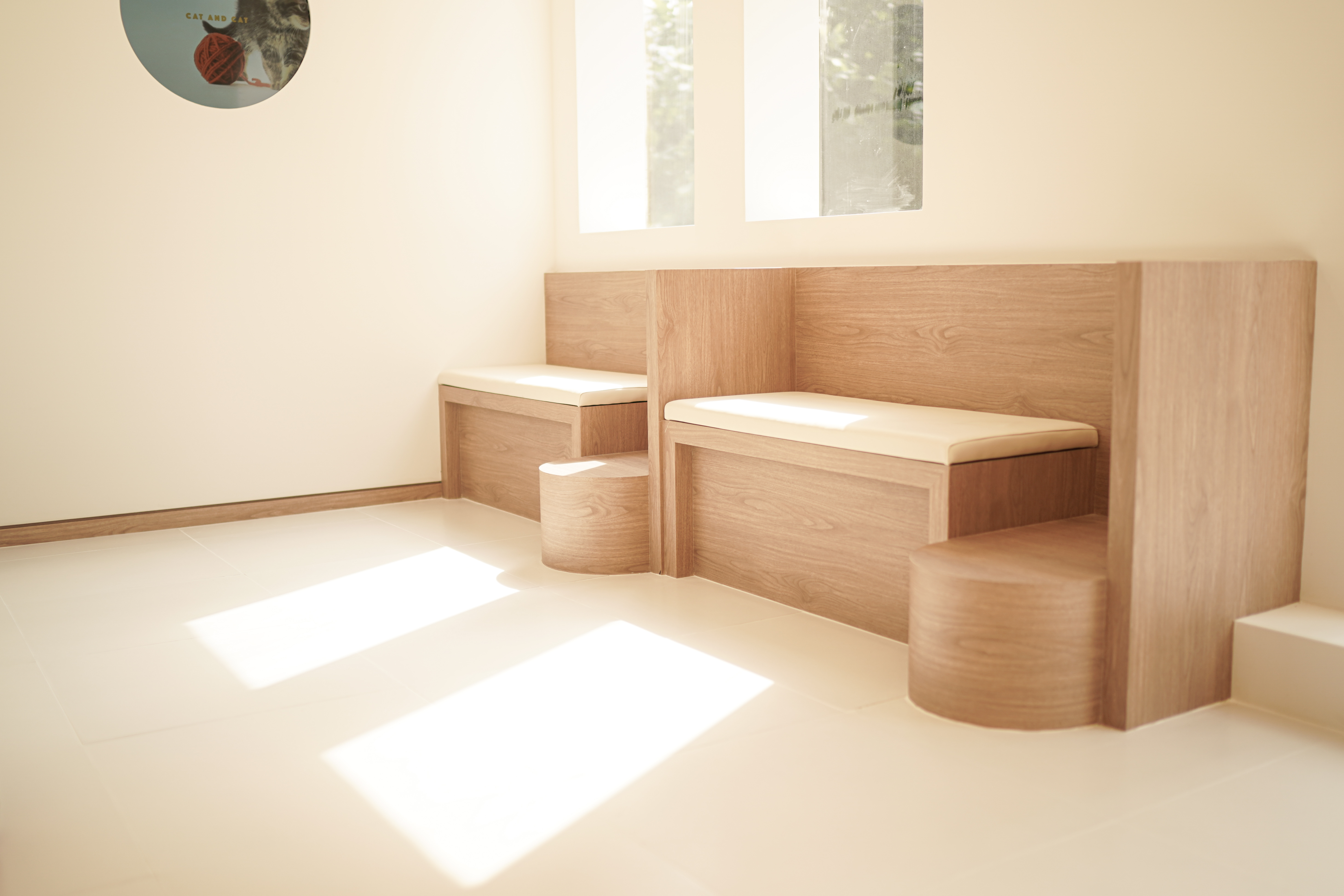 캣앤캣 고양이병원 대표 이미지