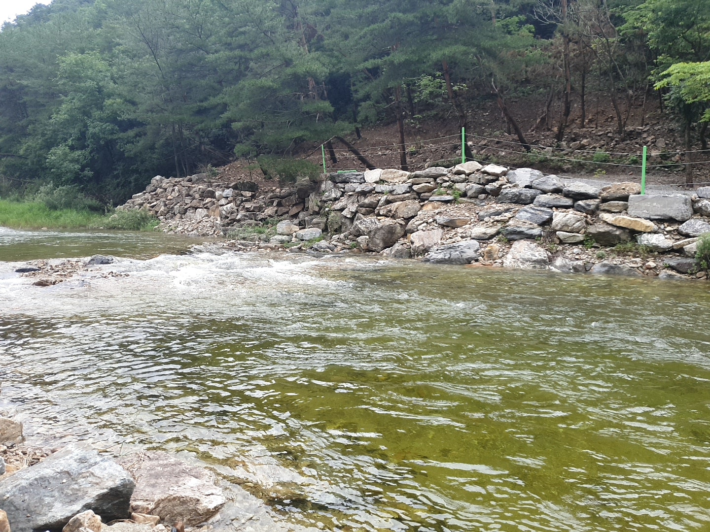 도원패밀리캠핑장