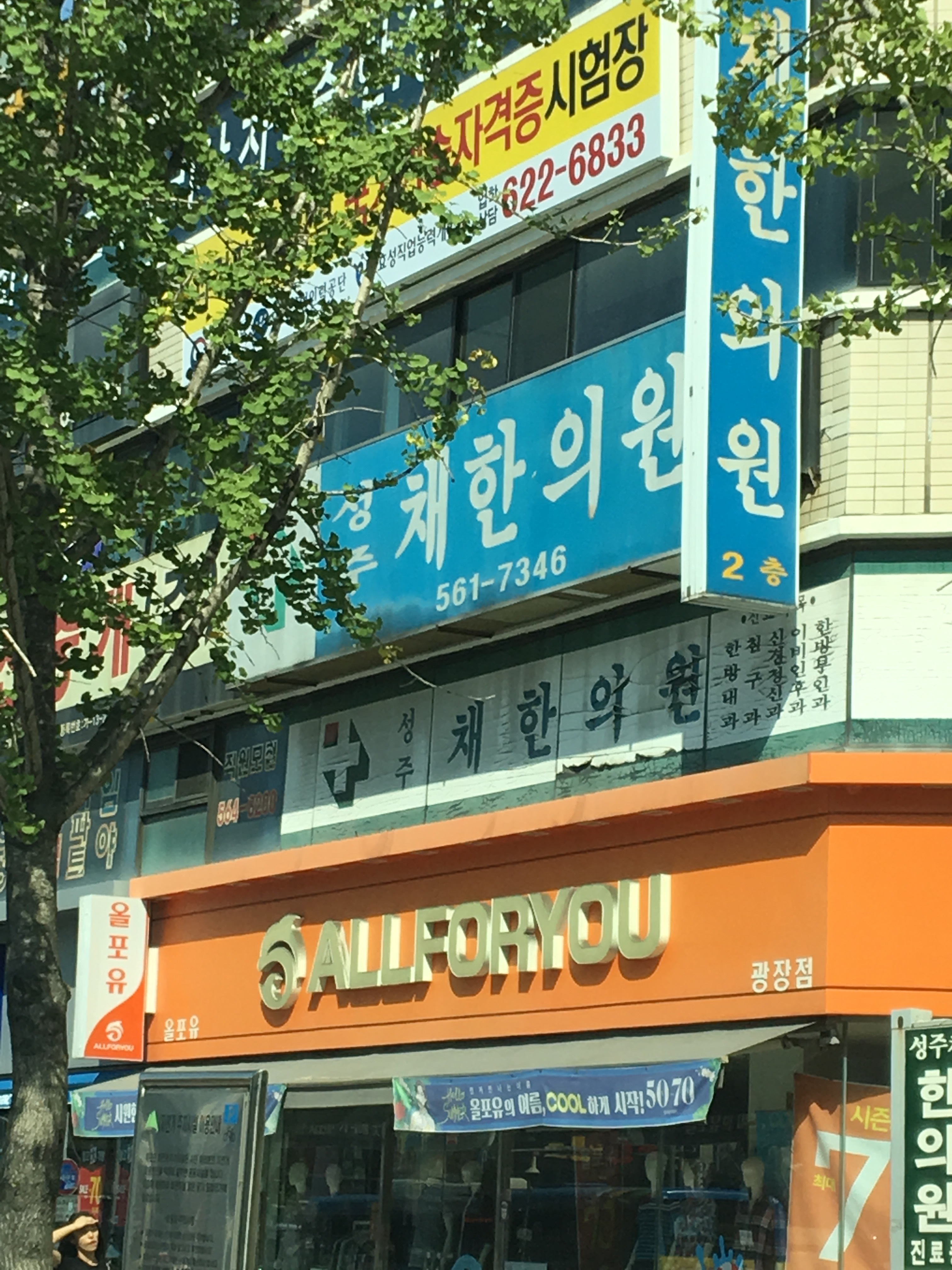 성주채한의원