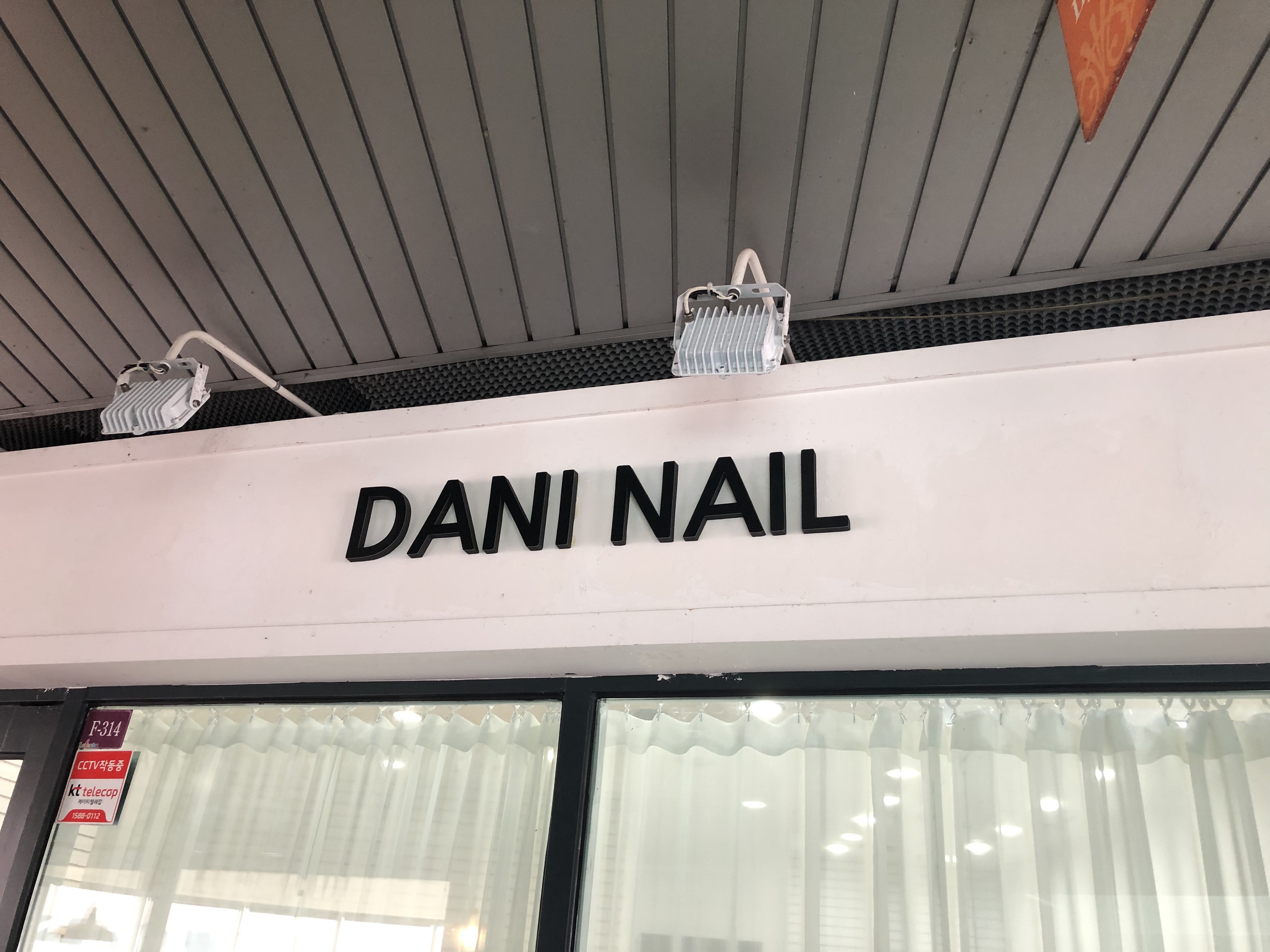 다니네일