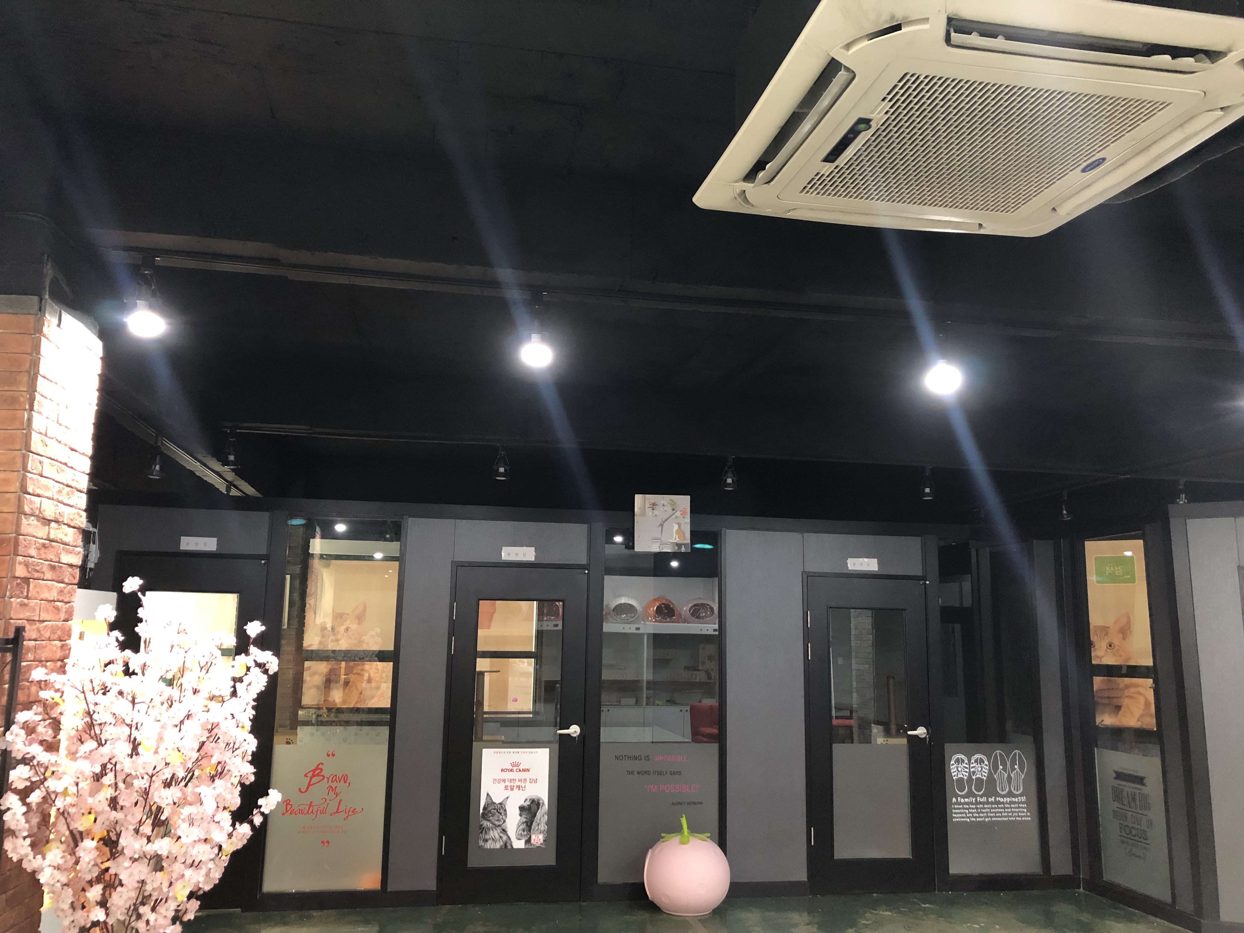 미소펫