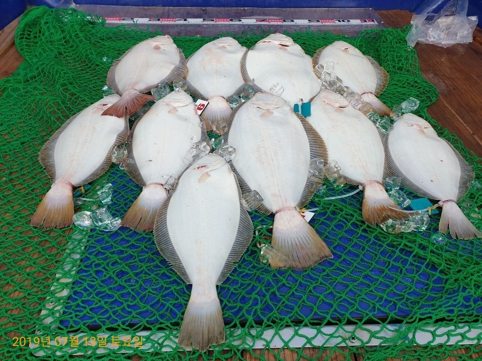 피싱게이트