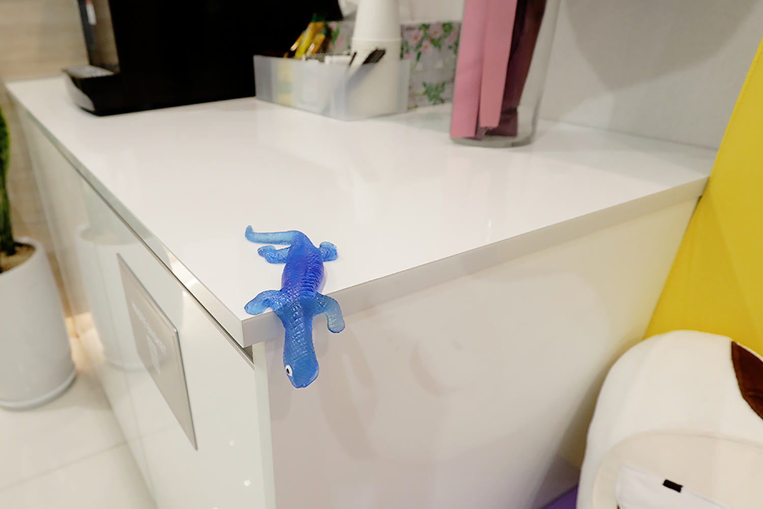 앙쥬소아치과 대표 이미지