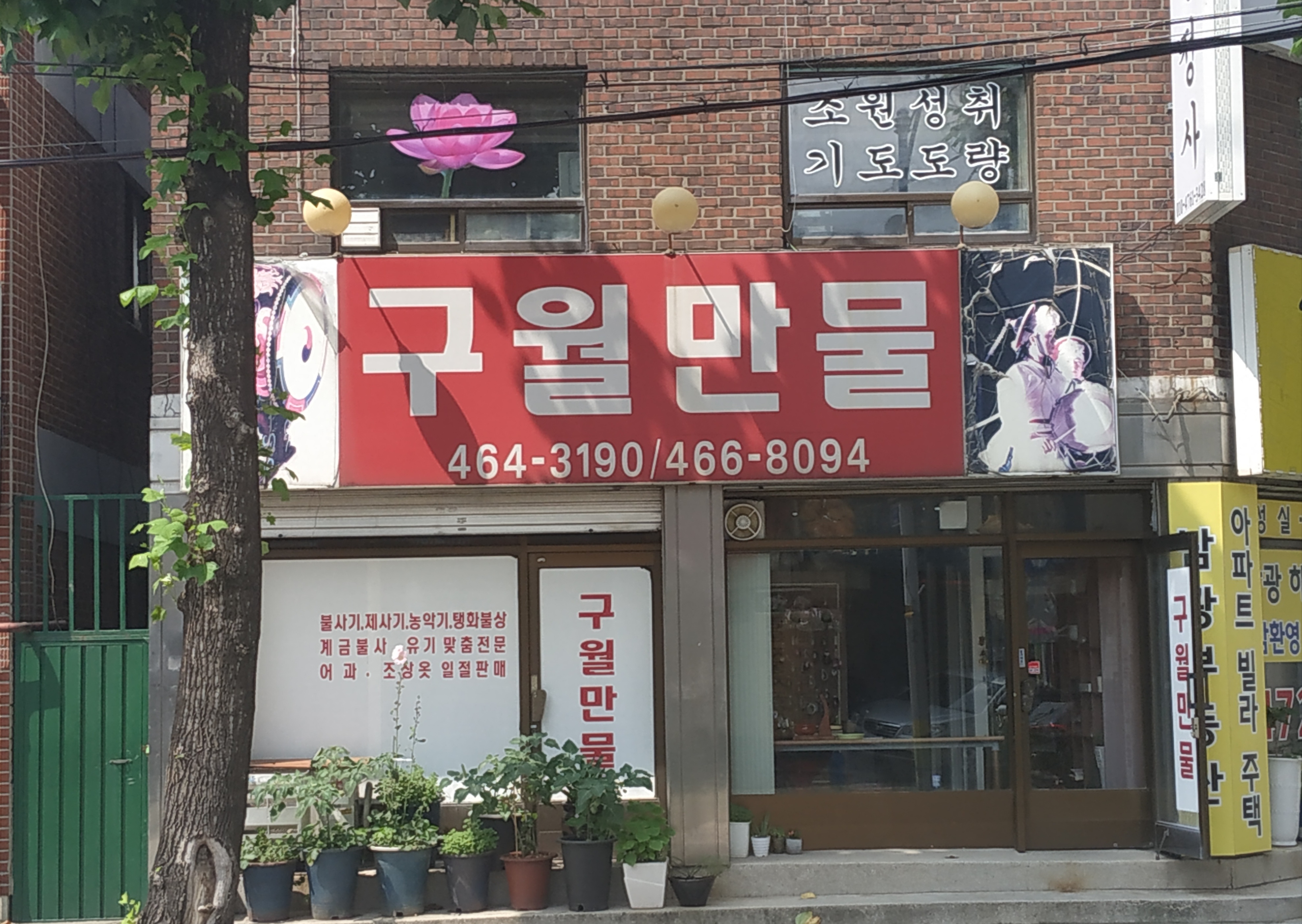 구월만물