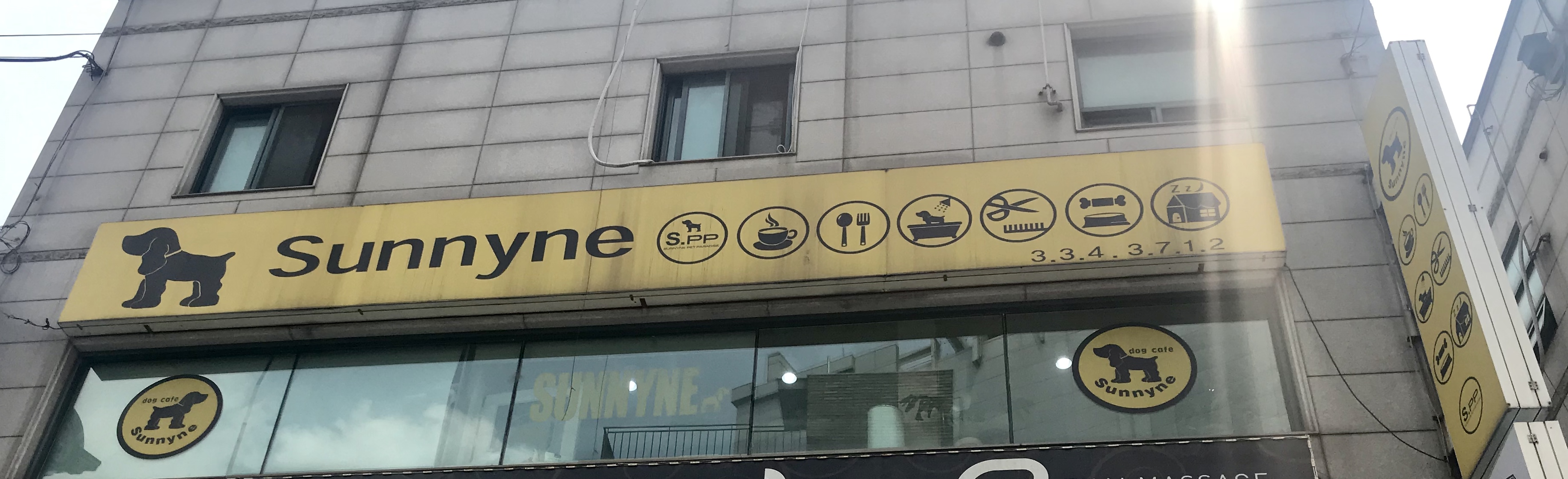써니네애견카페