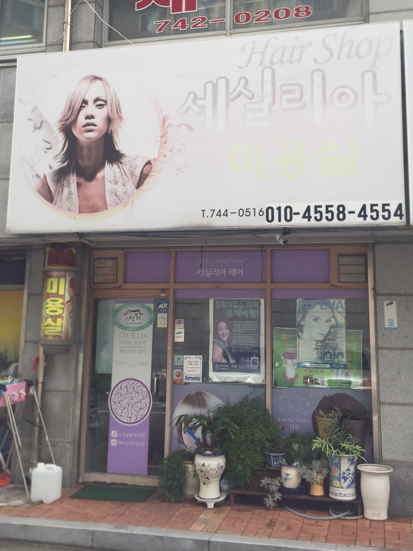세실리아