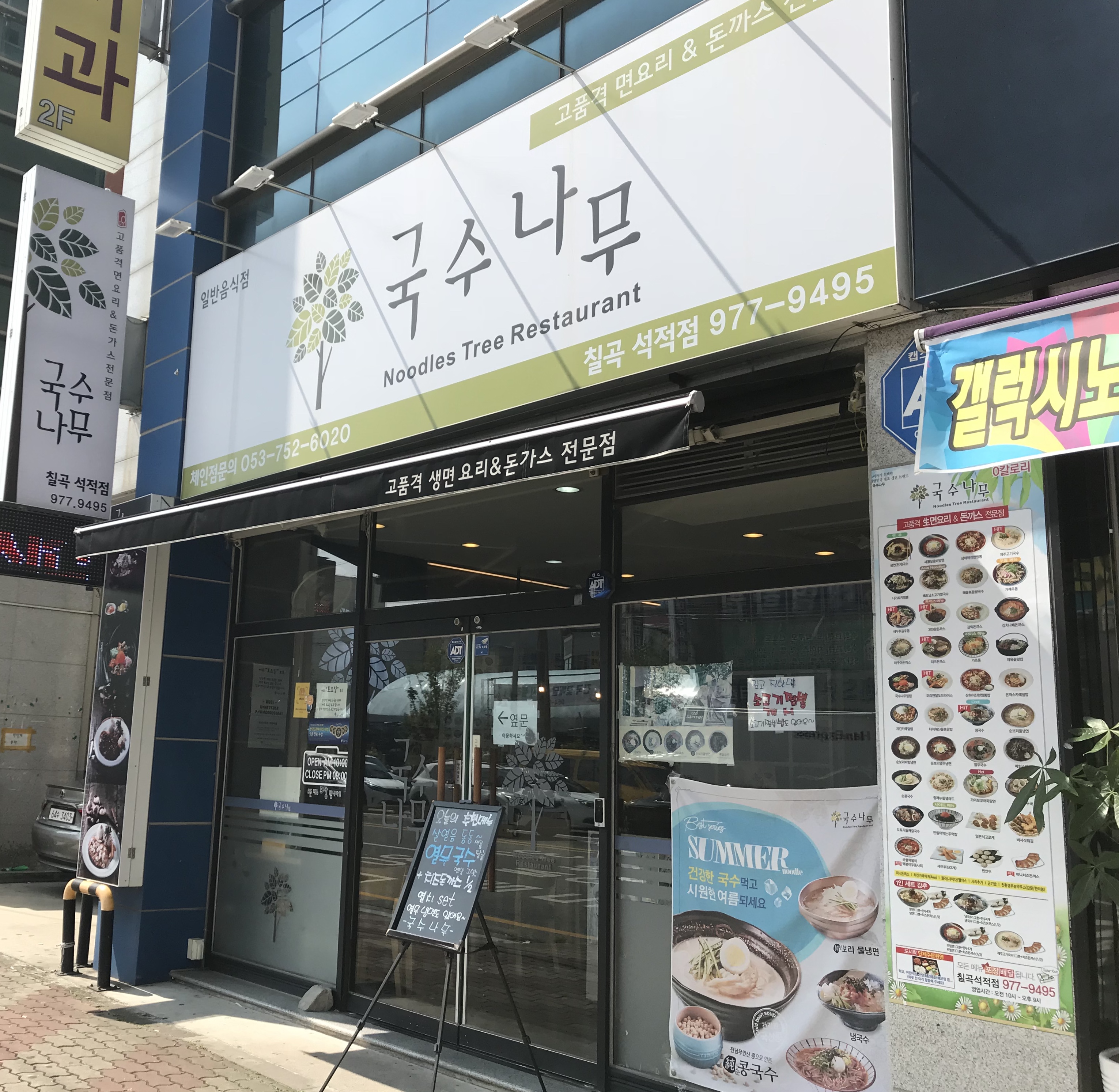 국수나무 칠곡석적점