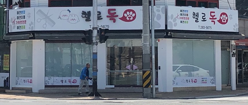 헬로독