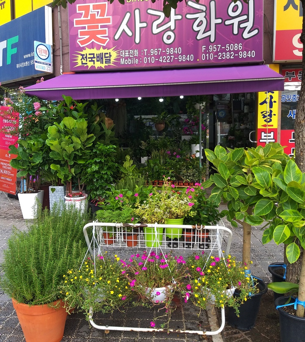 꽃사랑화원