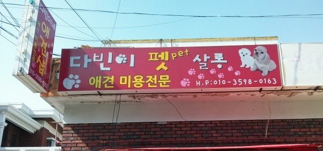 다빈이네펫살롱 대표 이미지