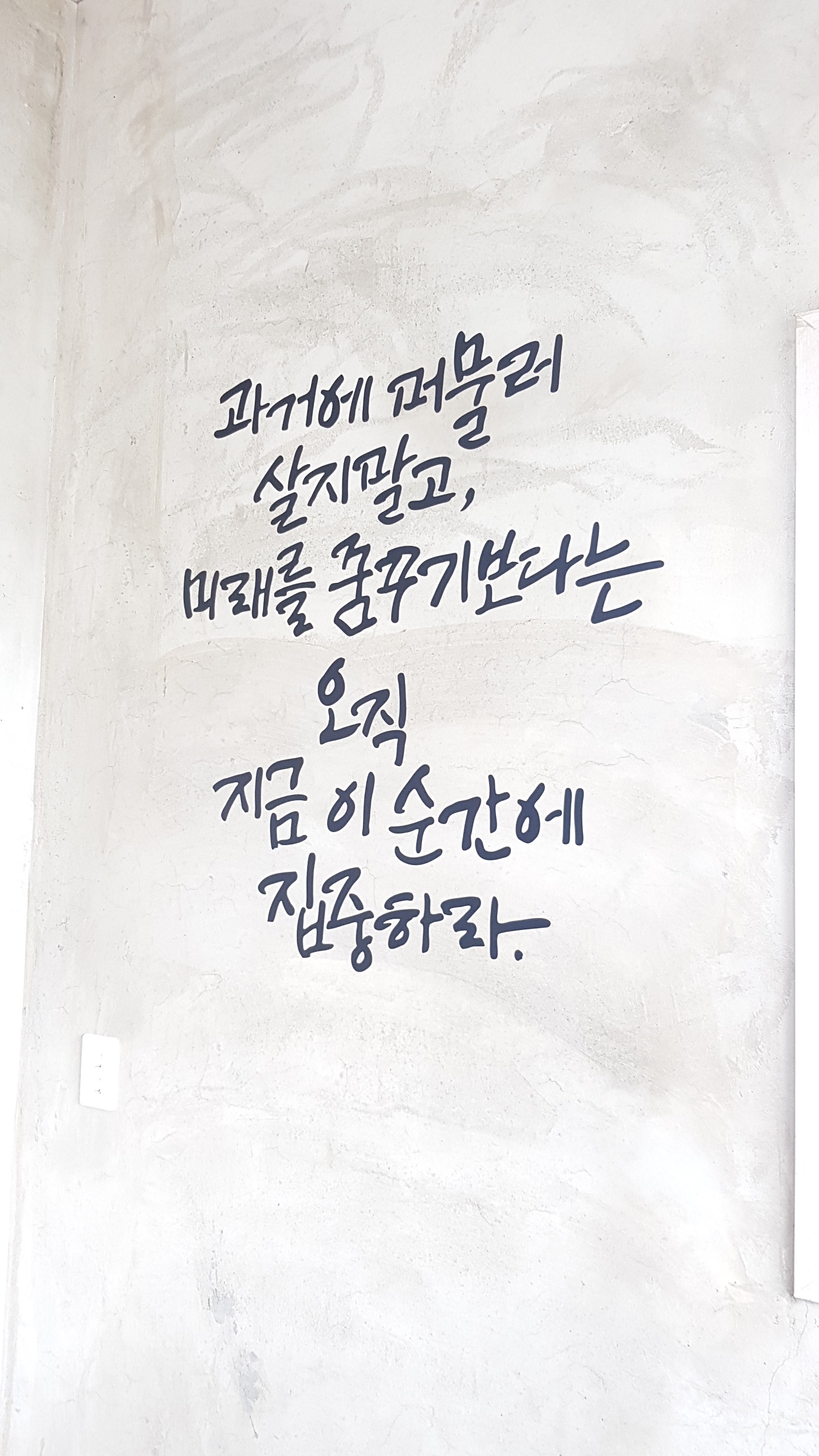 몽짬뽕 구지직영점