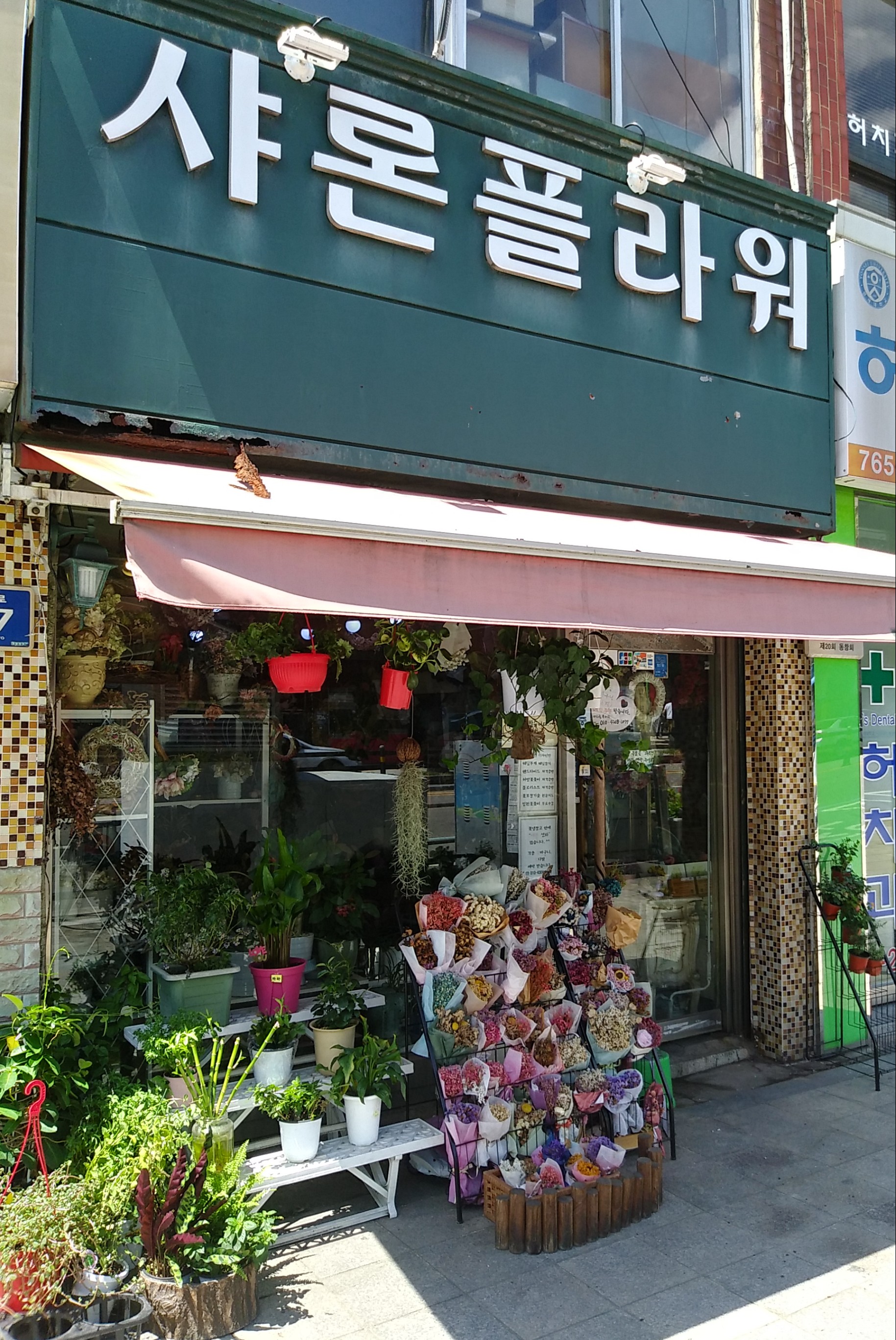 샤론플라워