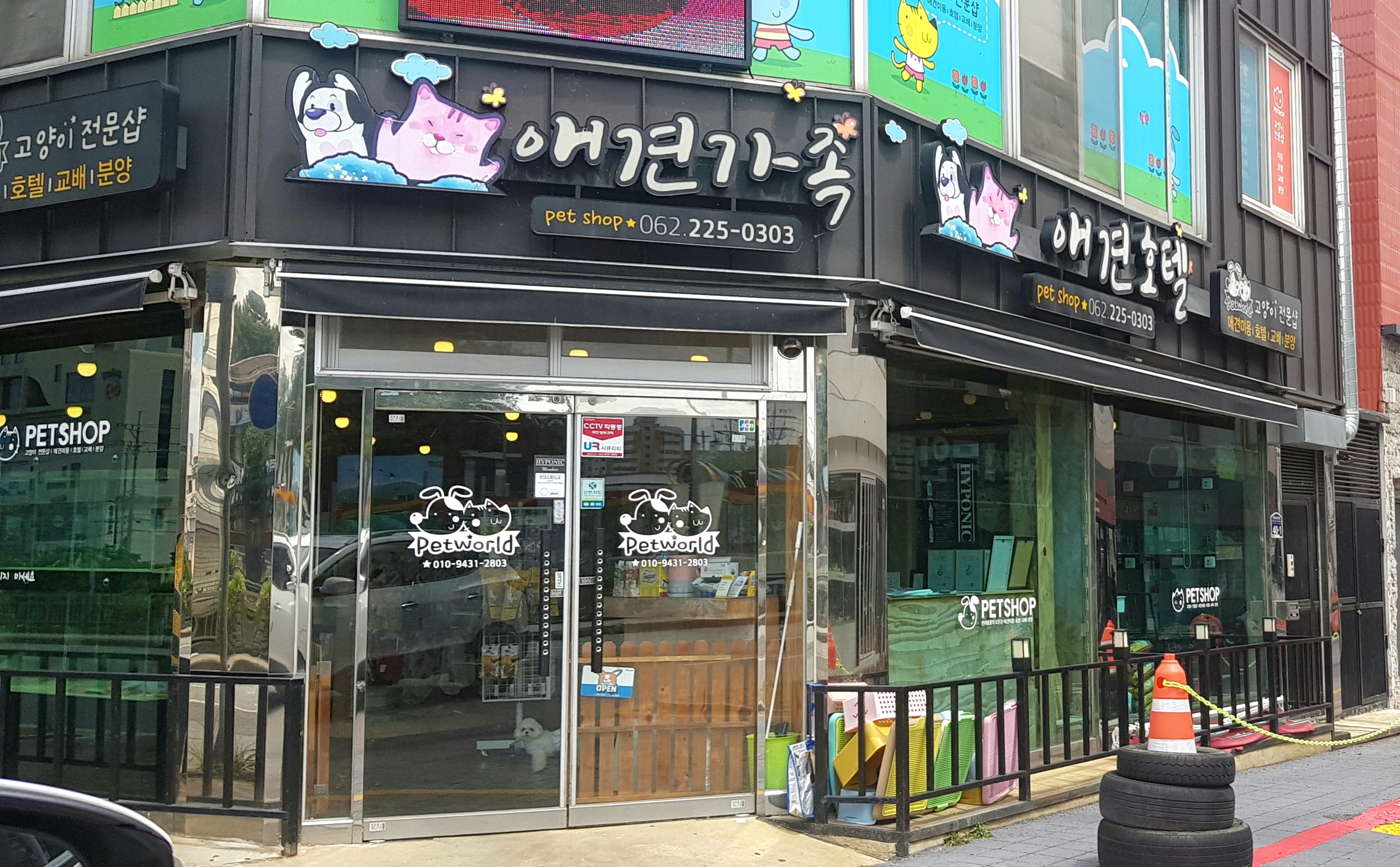 애견가족