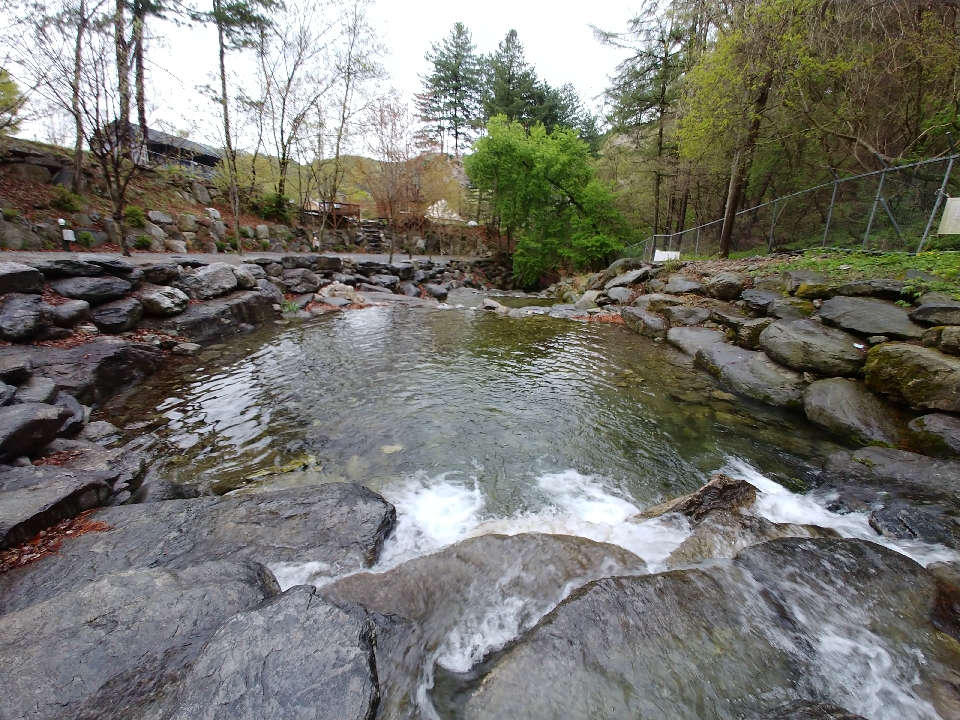유명산라온캠핑장