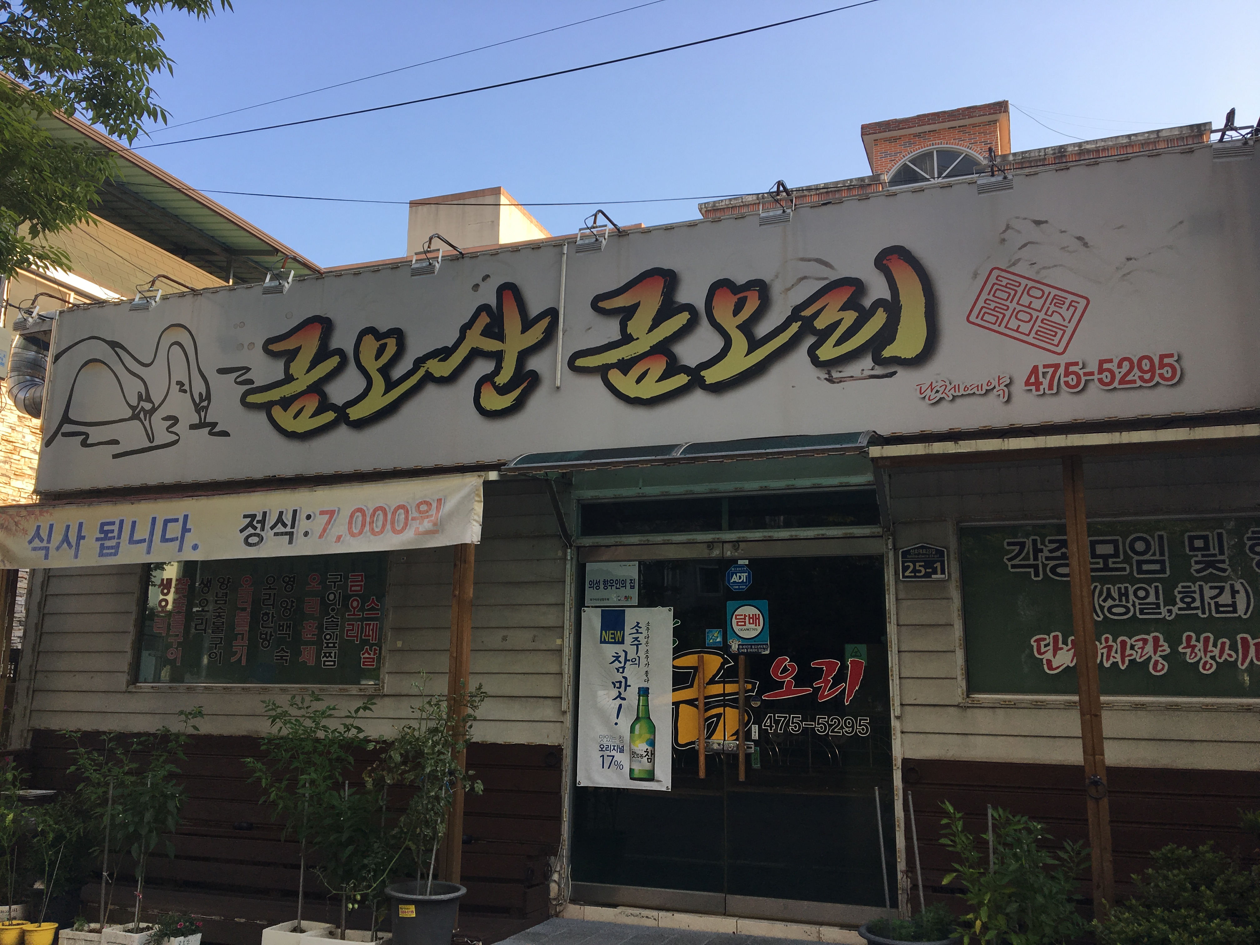 금오산금오리