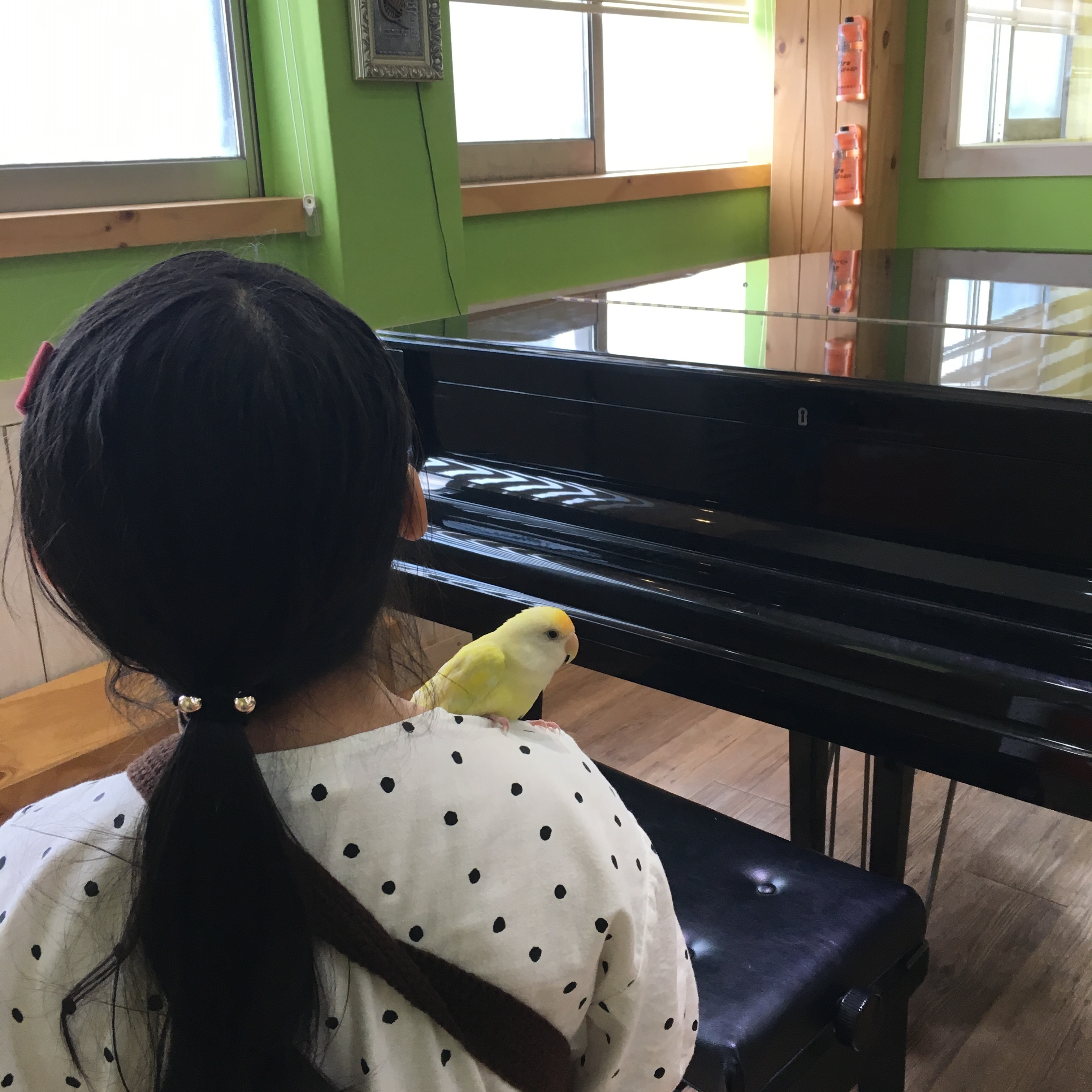 새소망음악학원