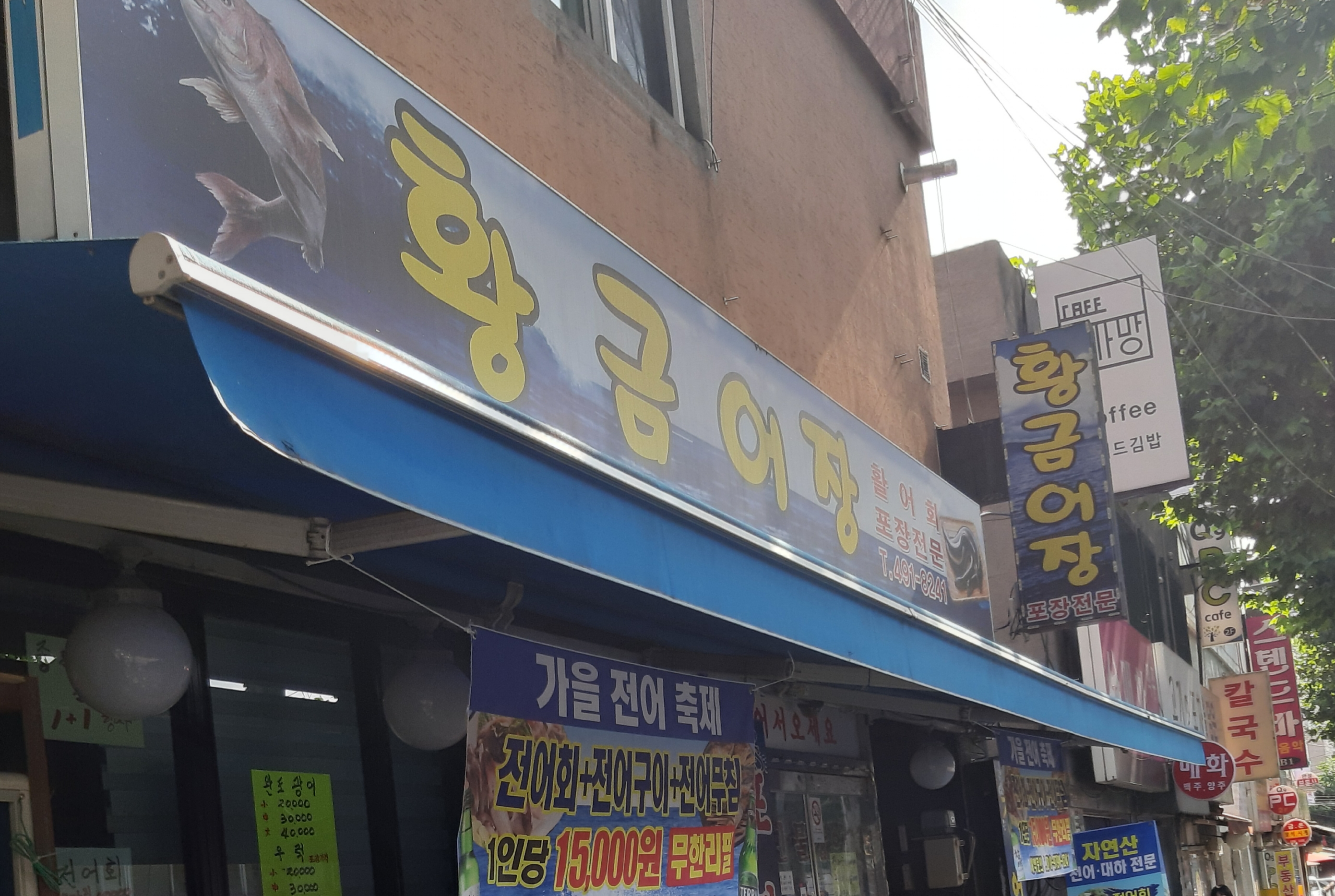 황금어장