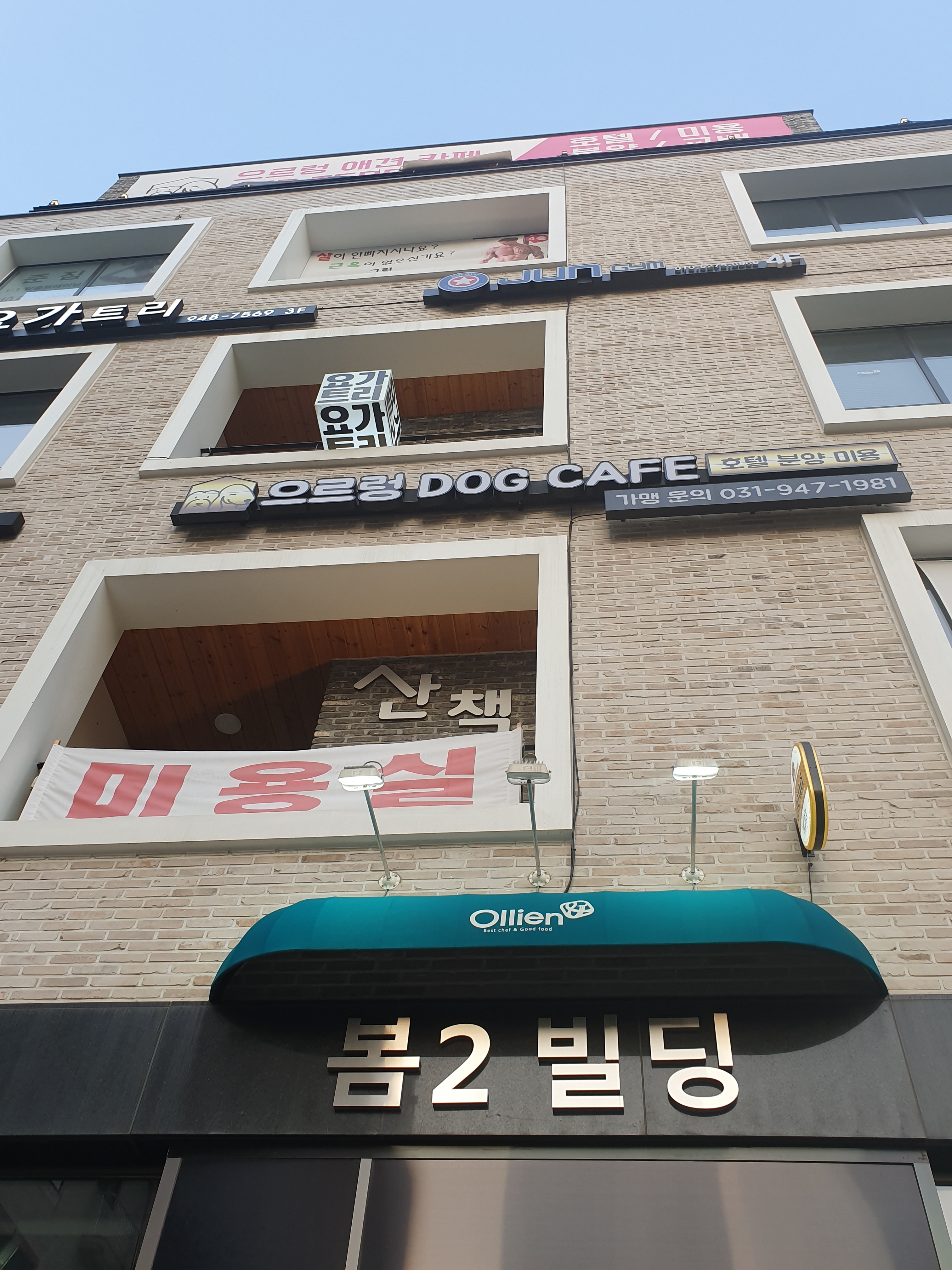 사진 3