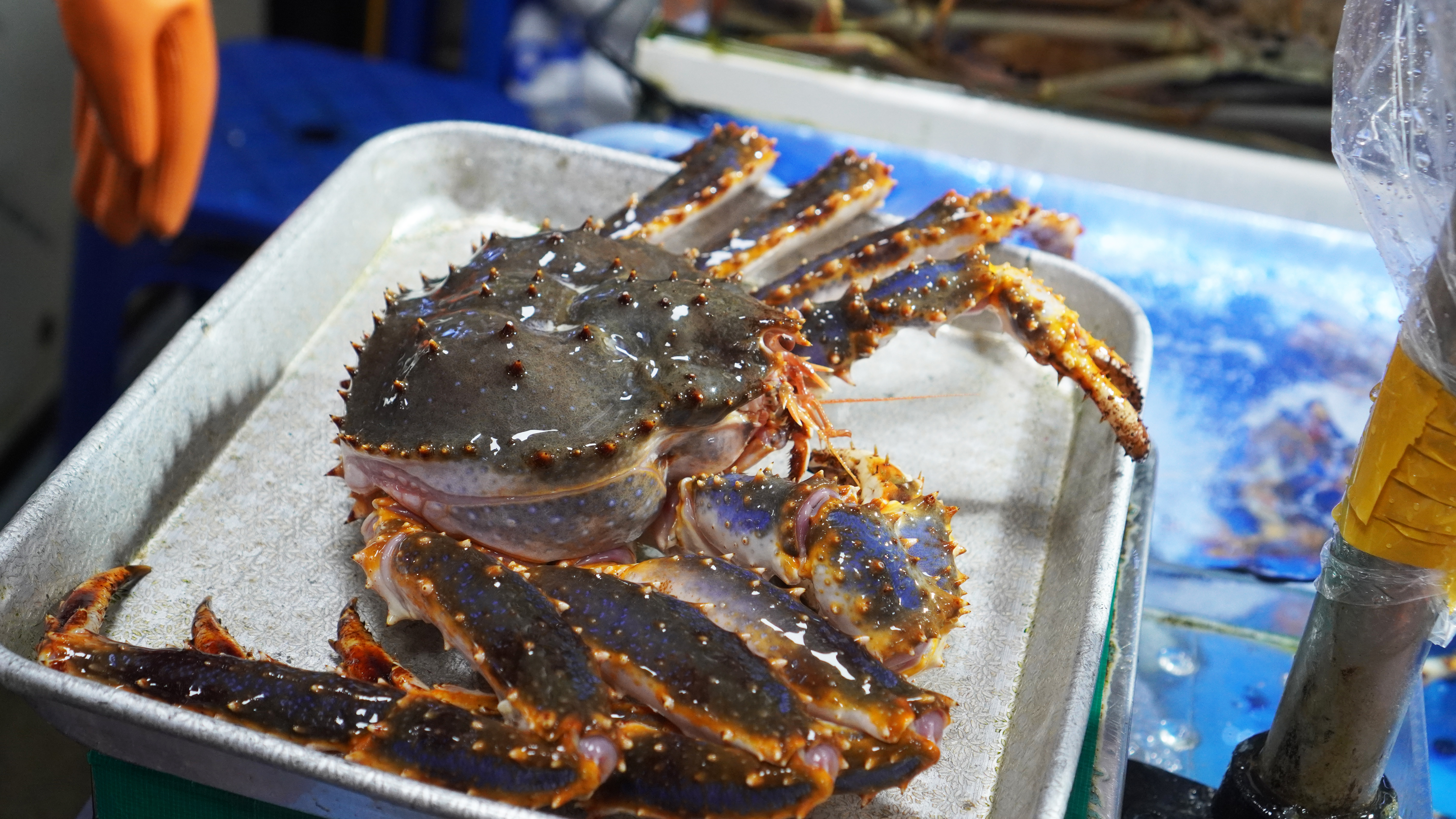 순이수산