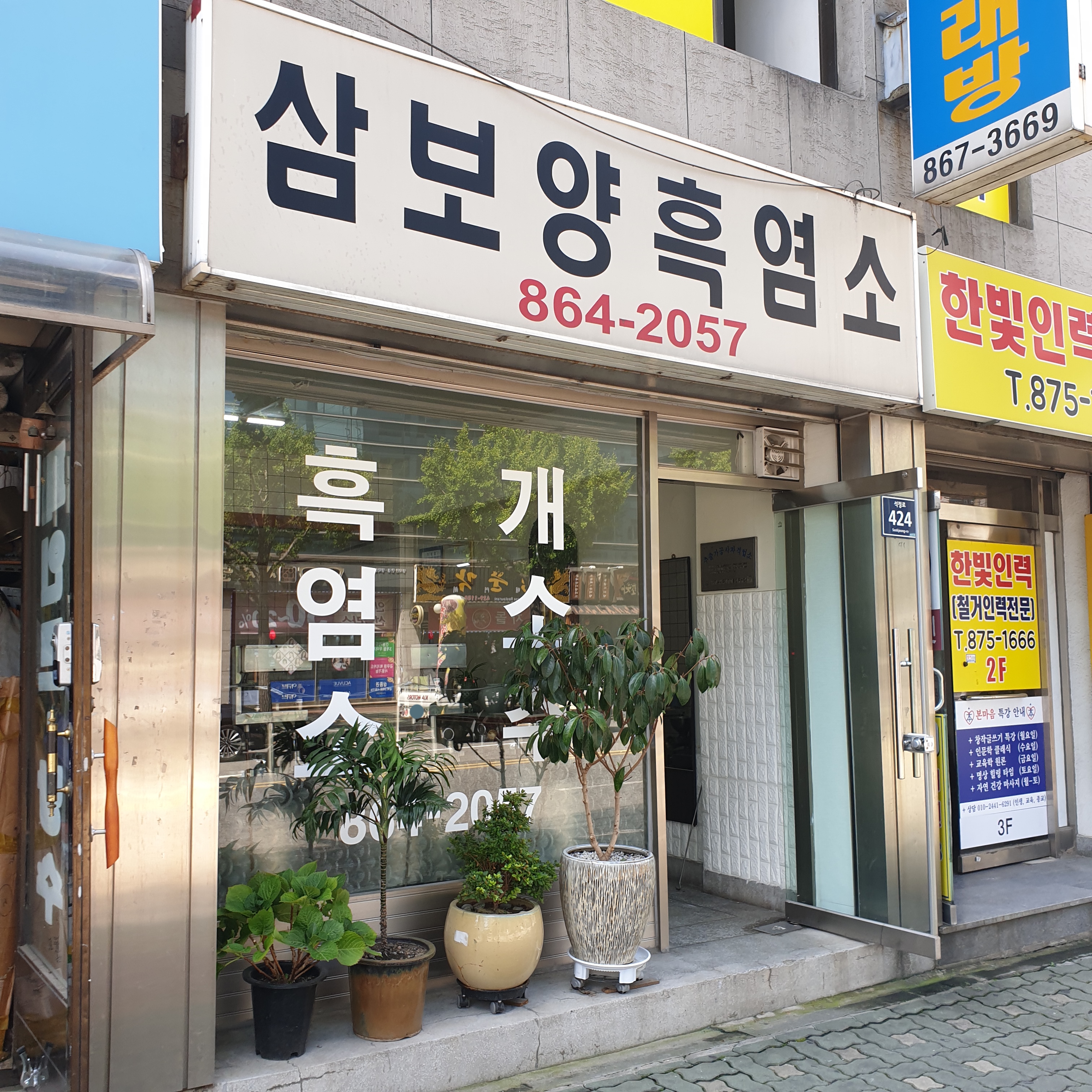 삼보양흑염소