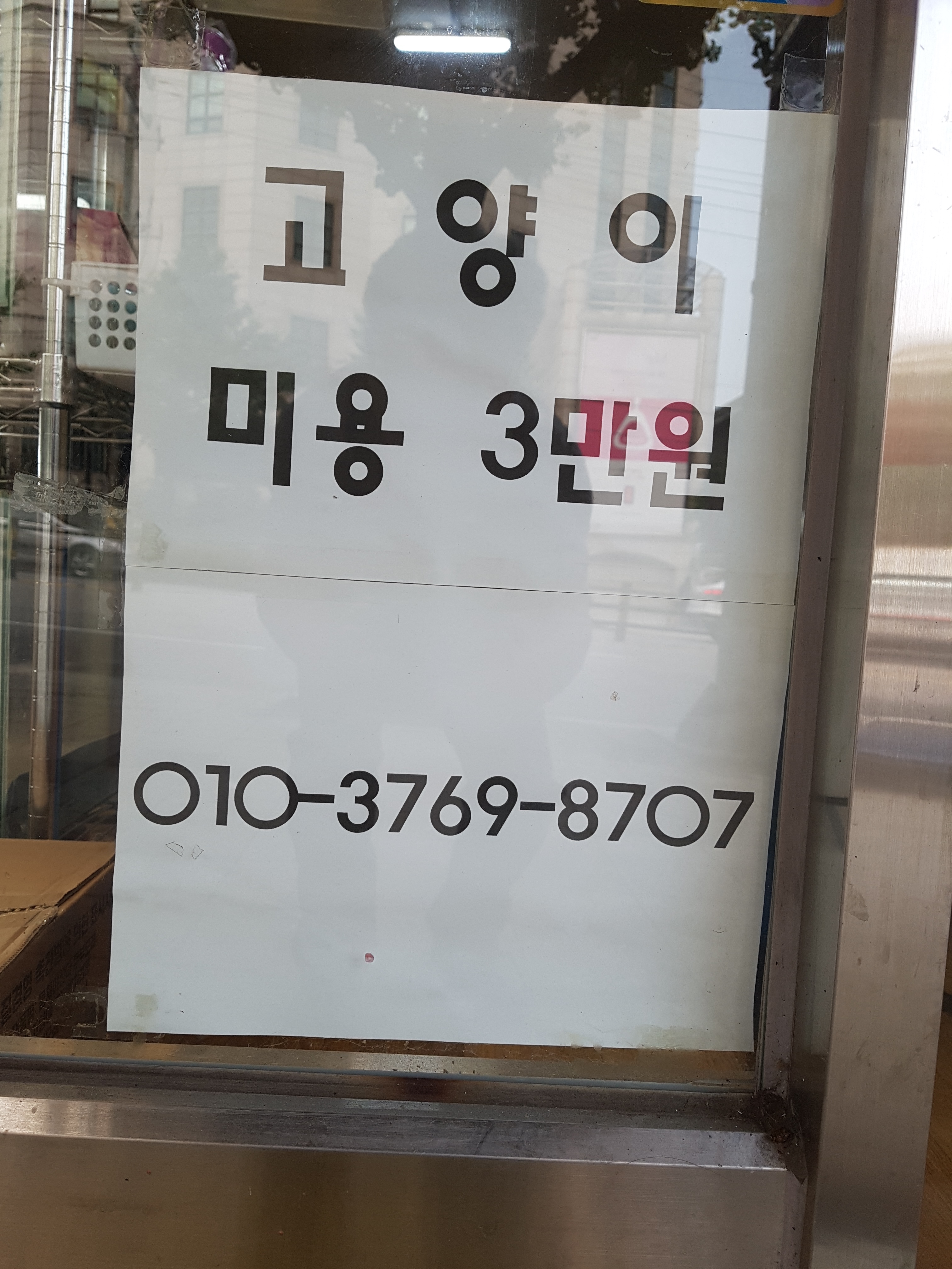수애견 대표 이미지
