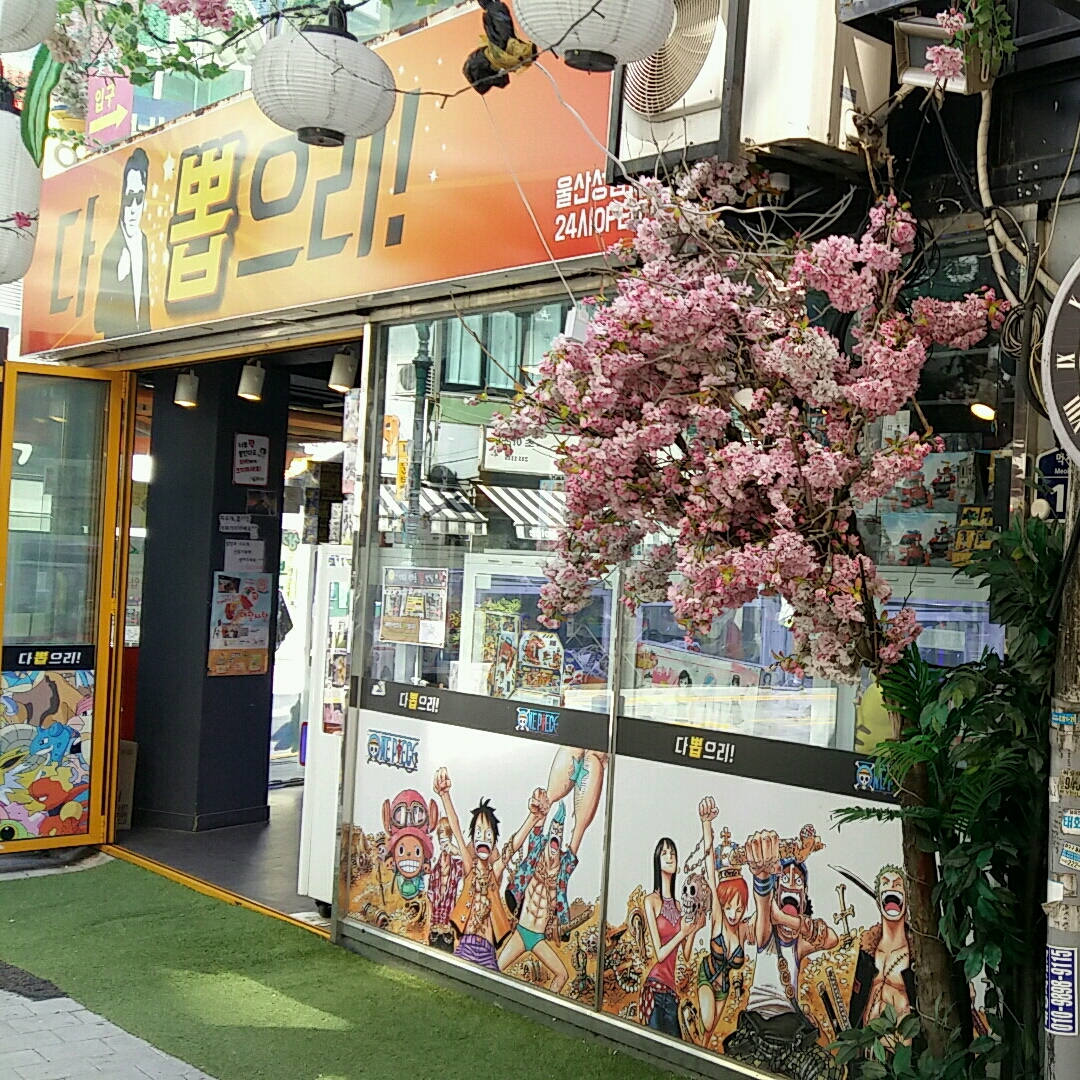 다뽑으리
