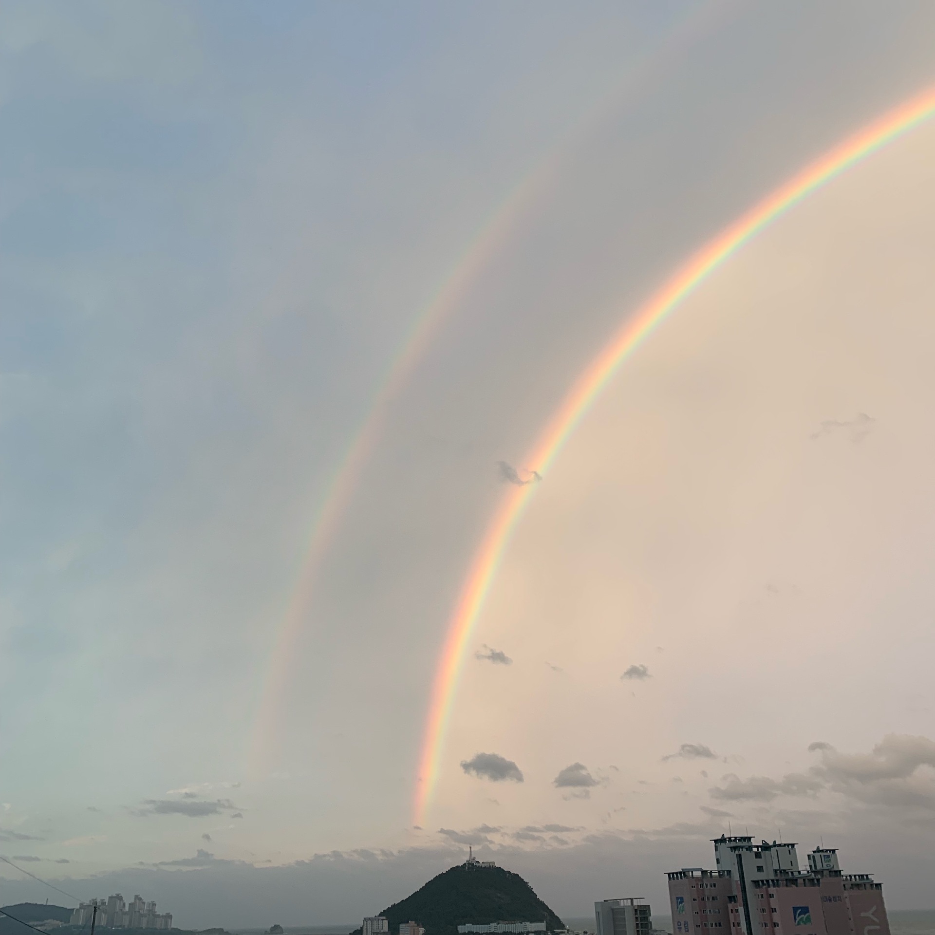 영도솔밭농원 2