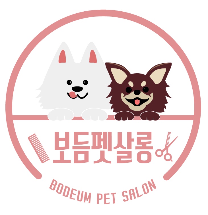 보듬펫살롱 대표 이미지