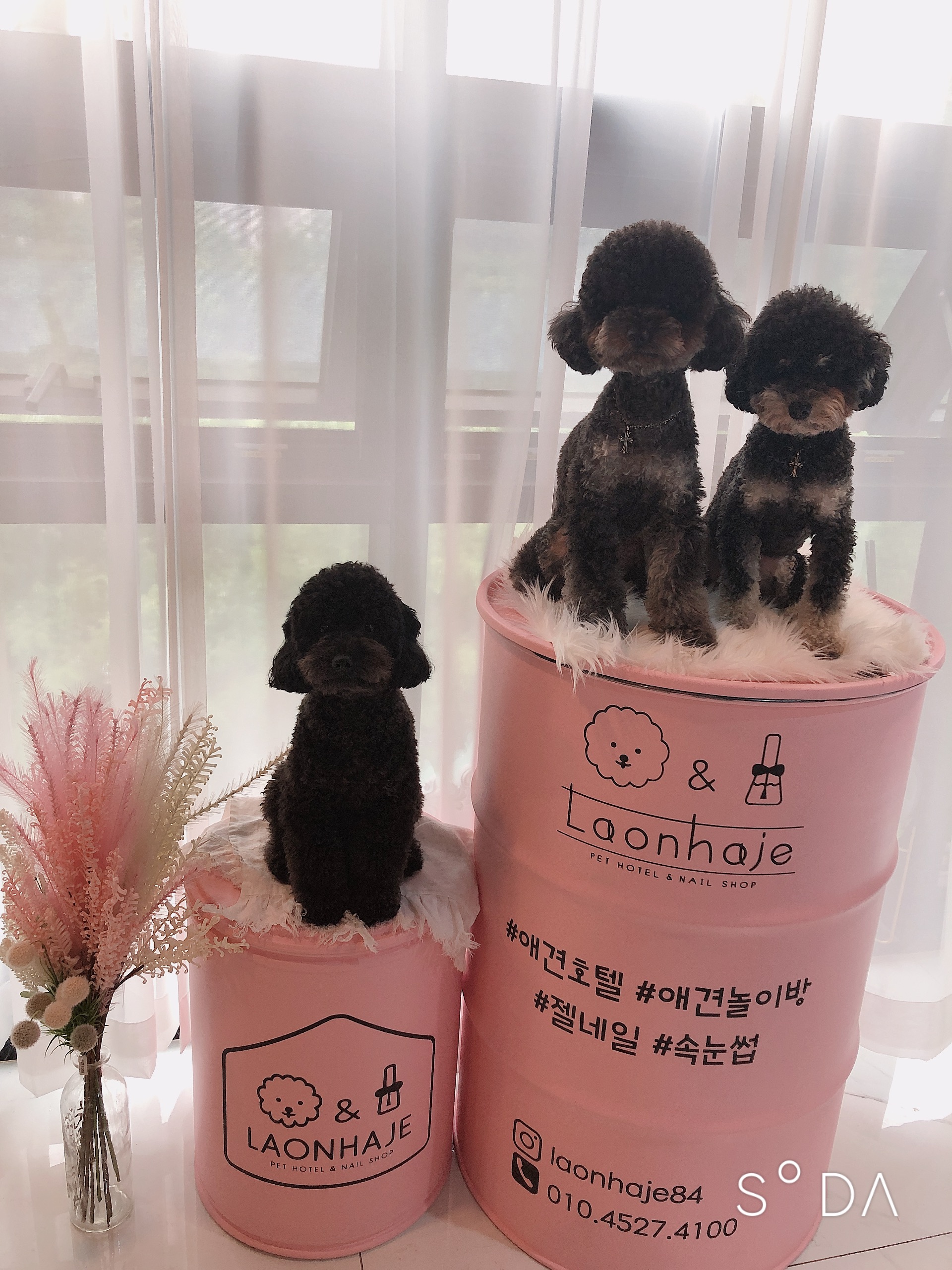 라온하제 대표 이미지