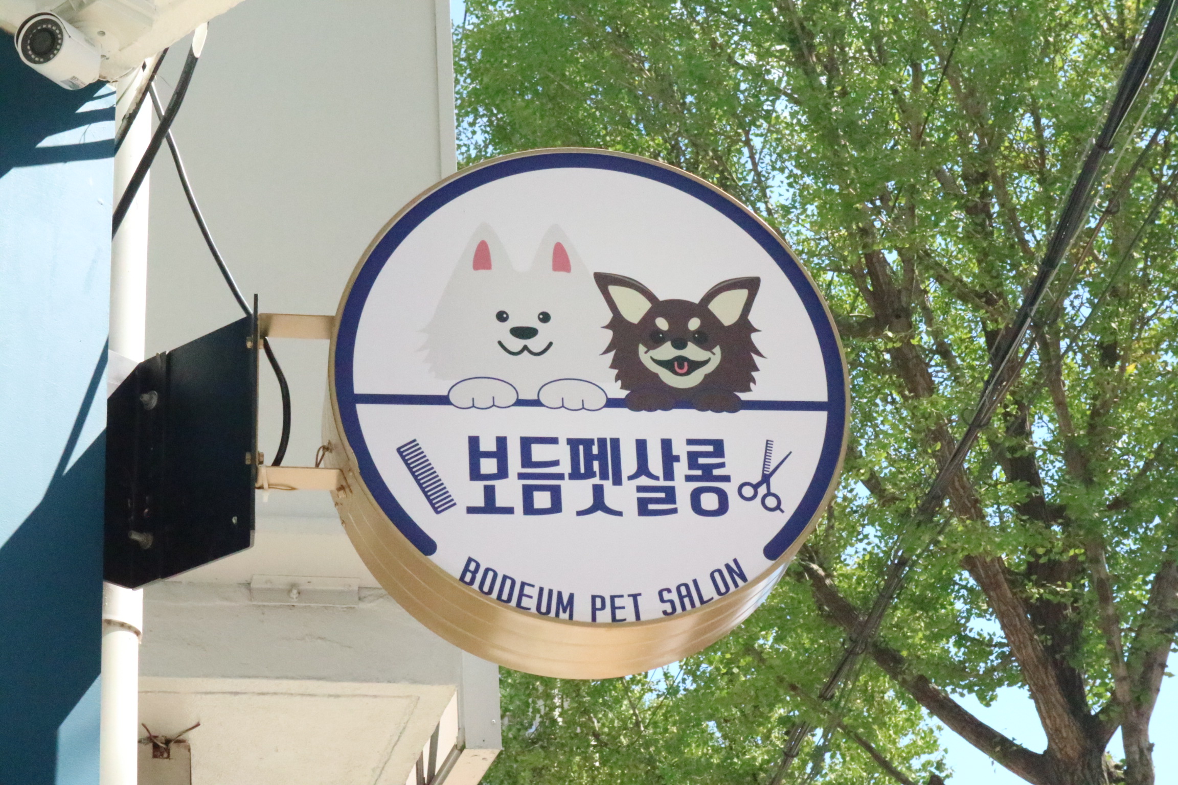 보듬펫살롱 대표 이미지