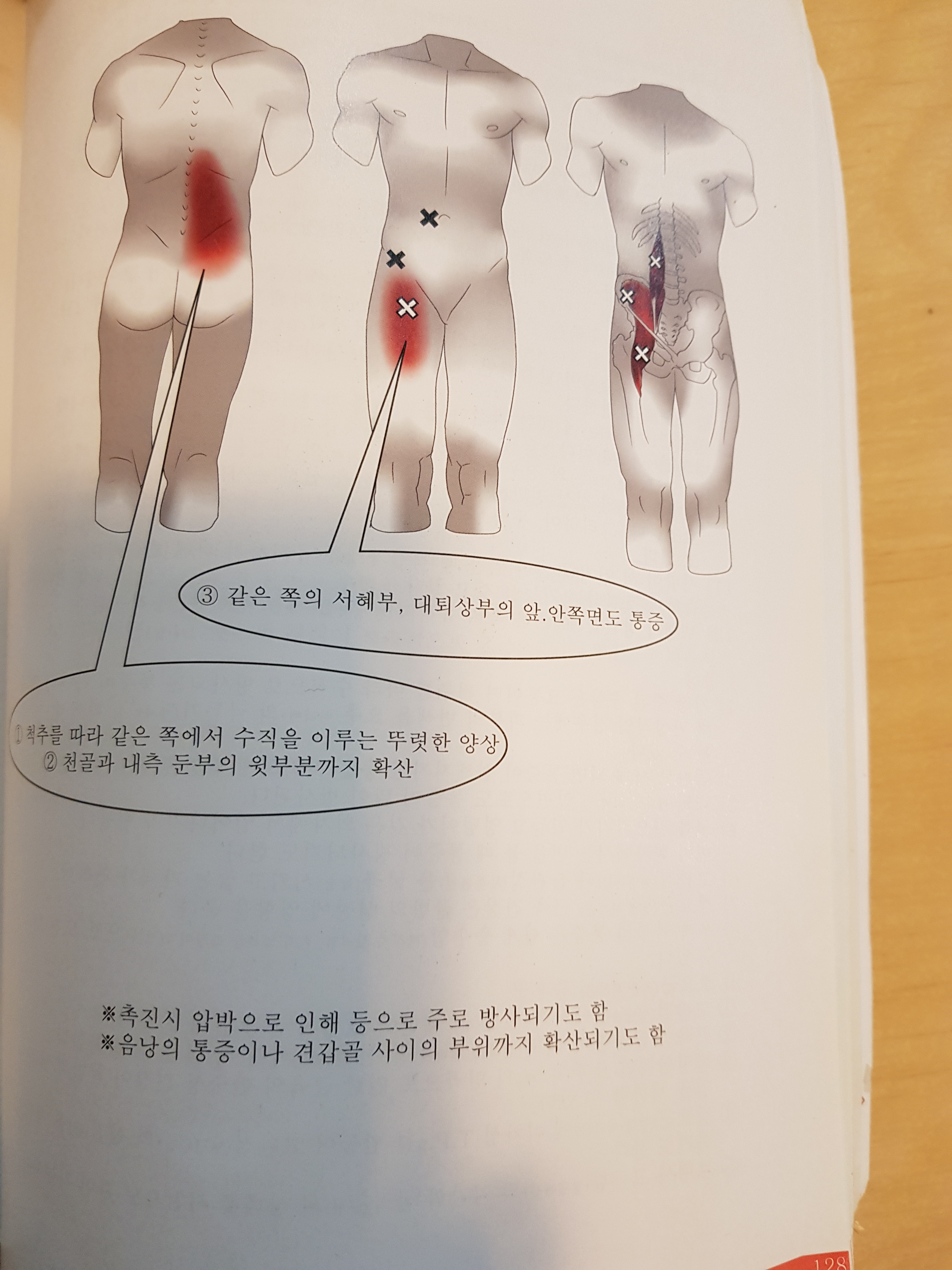 IN체형관리연구소
