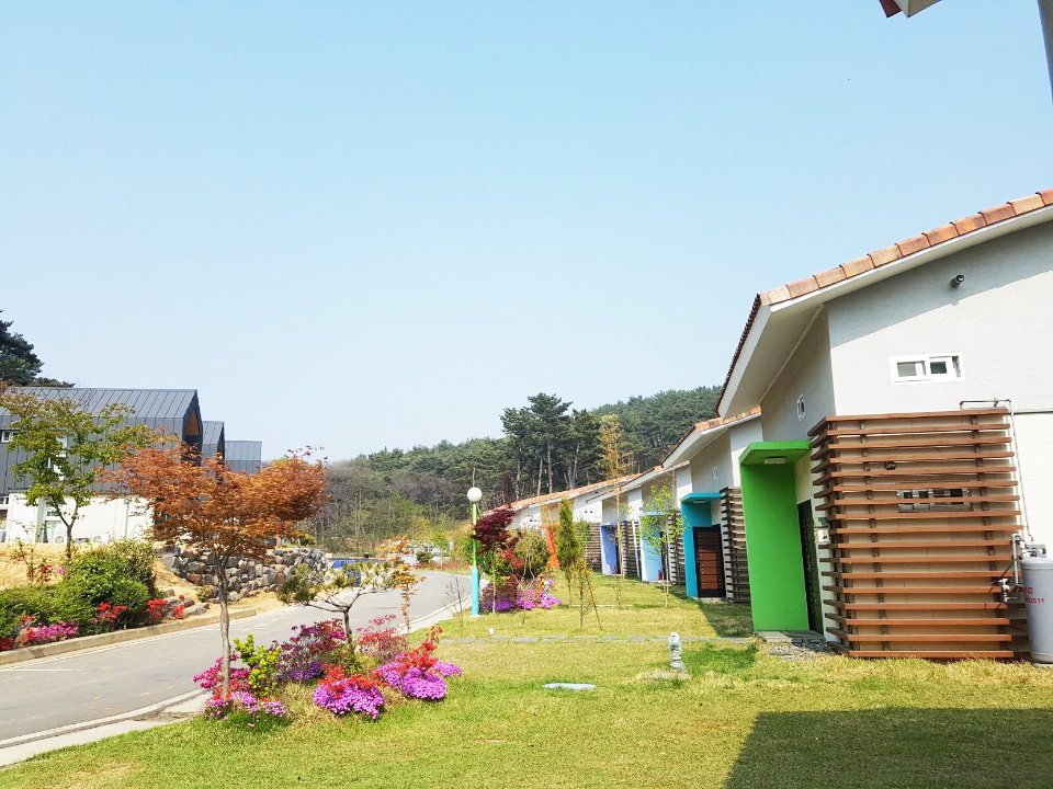바로빌리지 충청 애견숙소