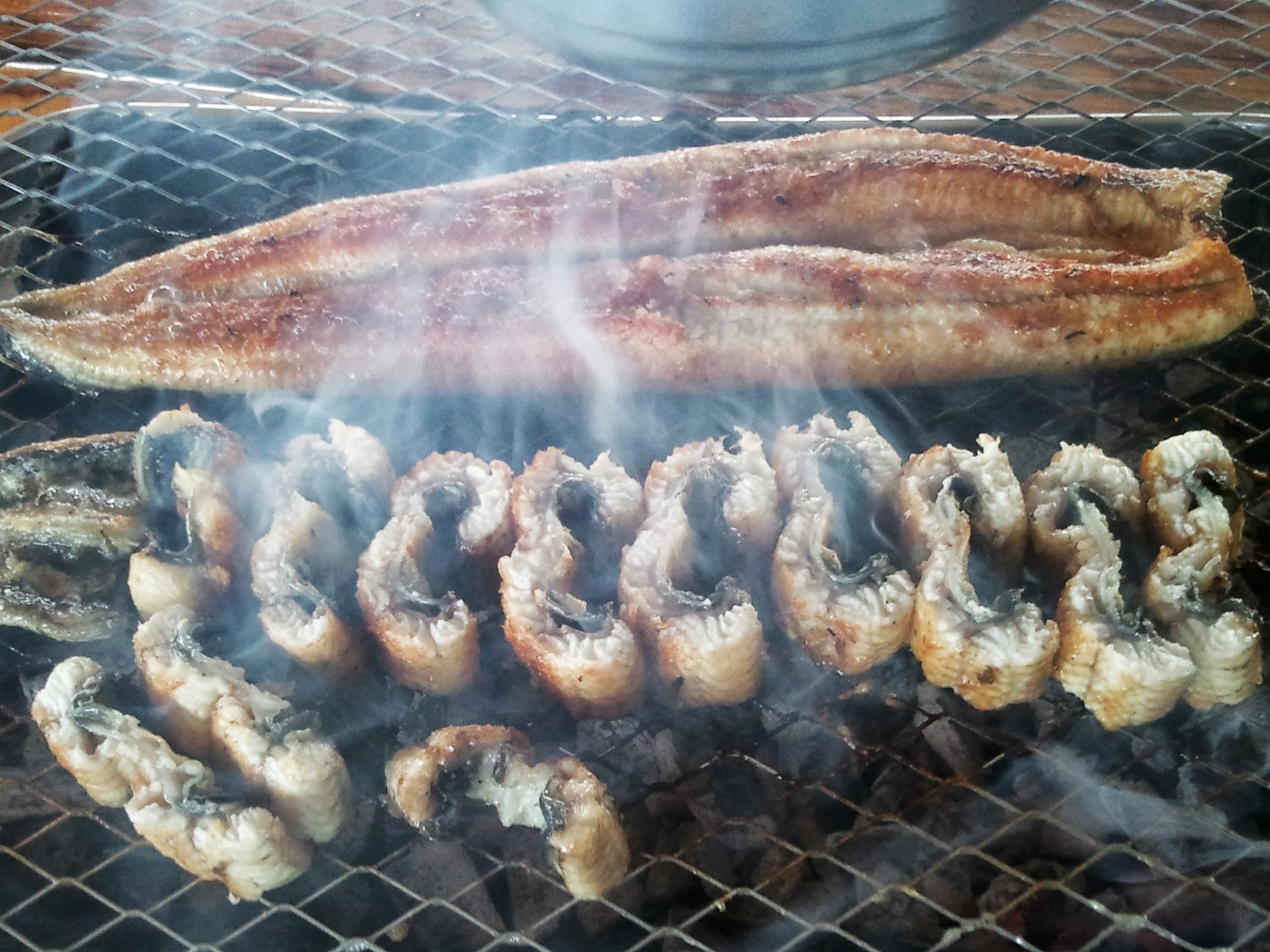 경포천장어