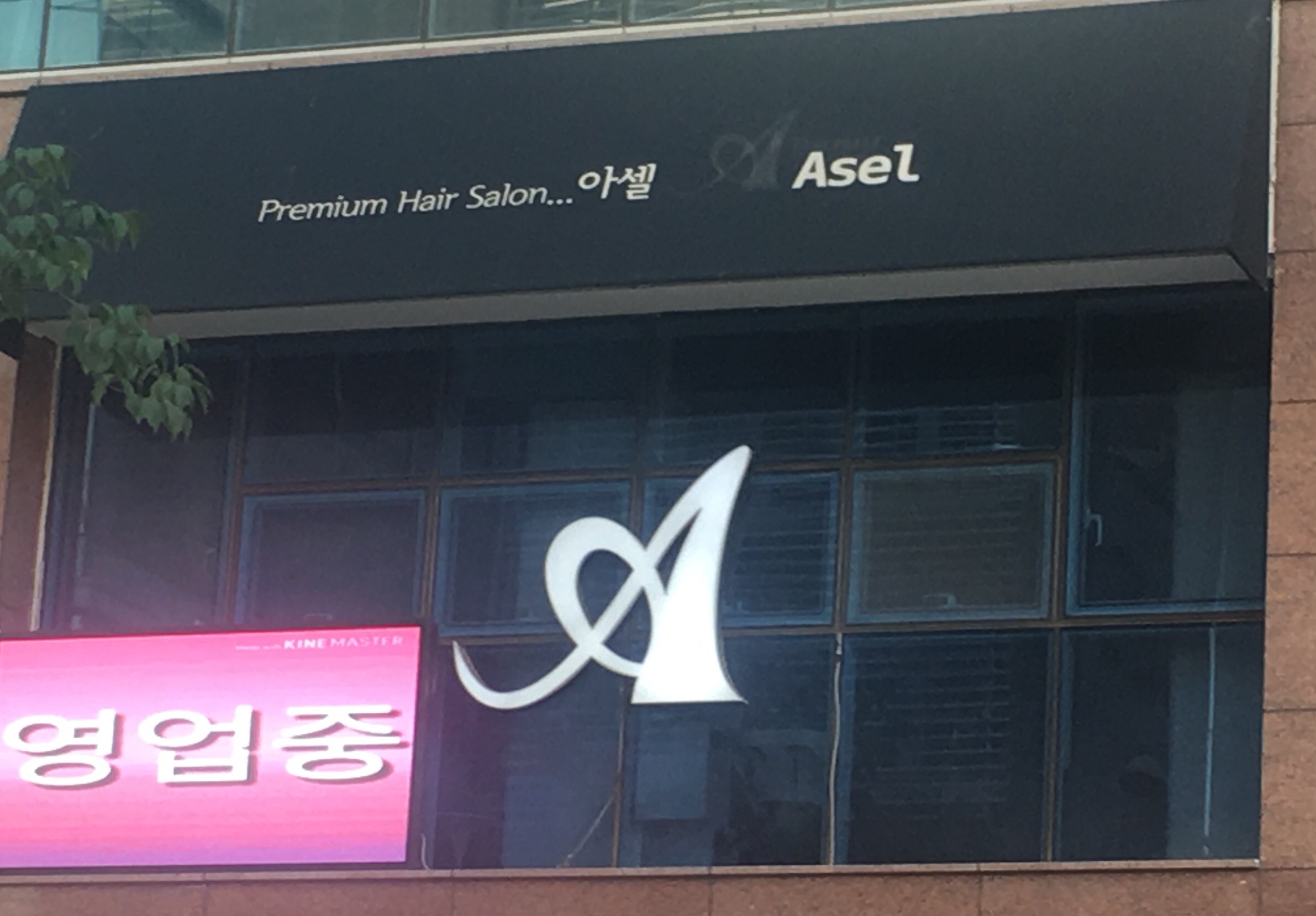 더헤어아셀